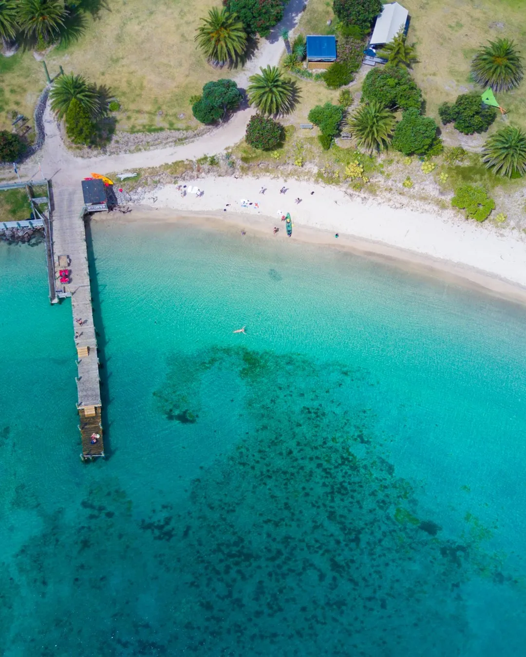 Slipper Island / Whakahau