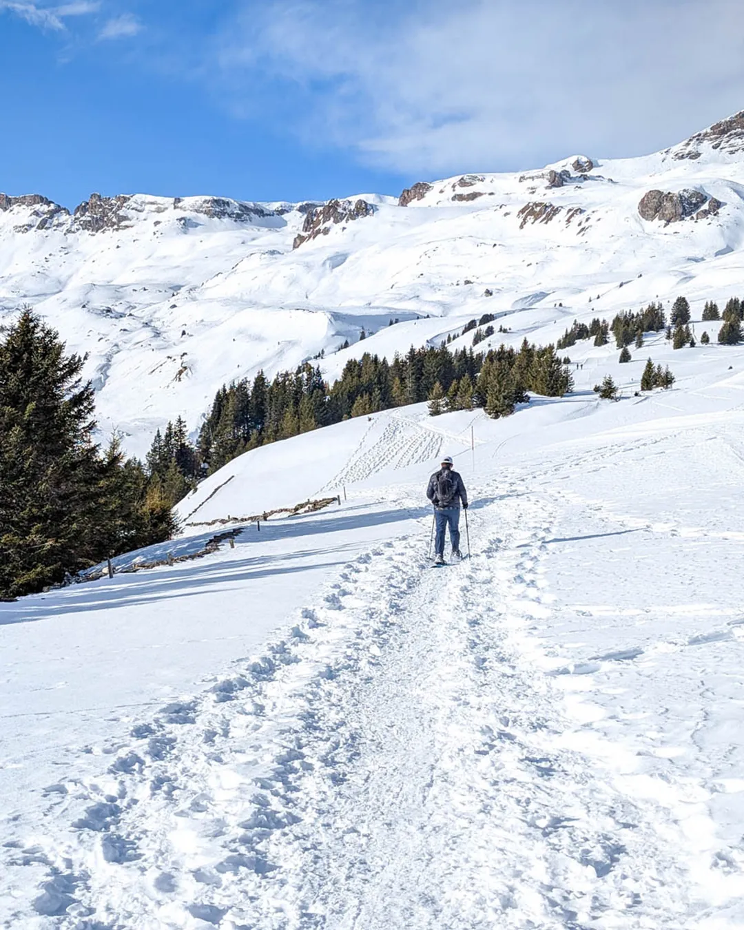 Spitzmeilenhütte Winter Hike