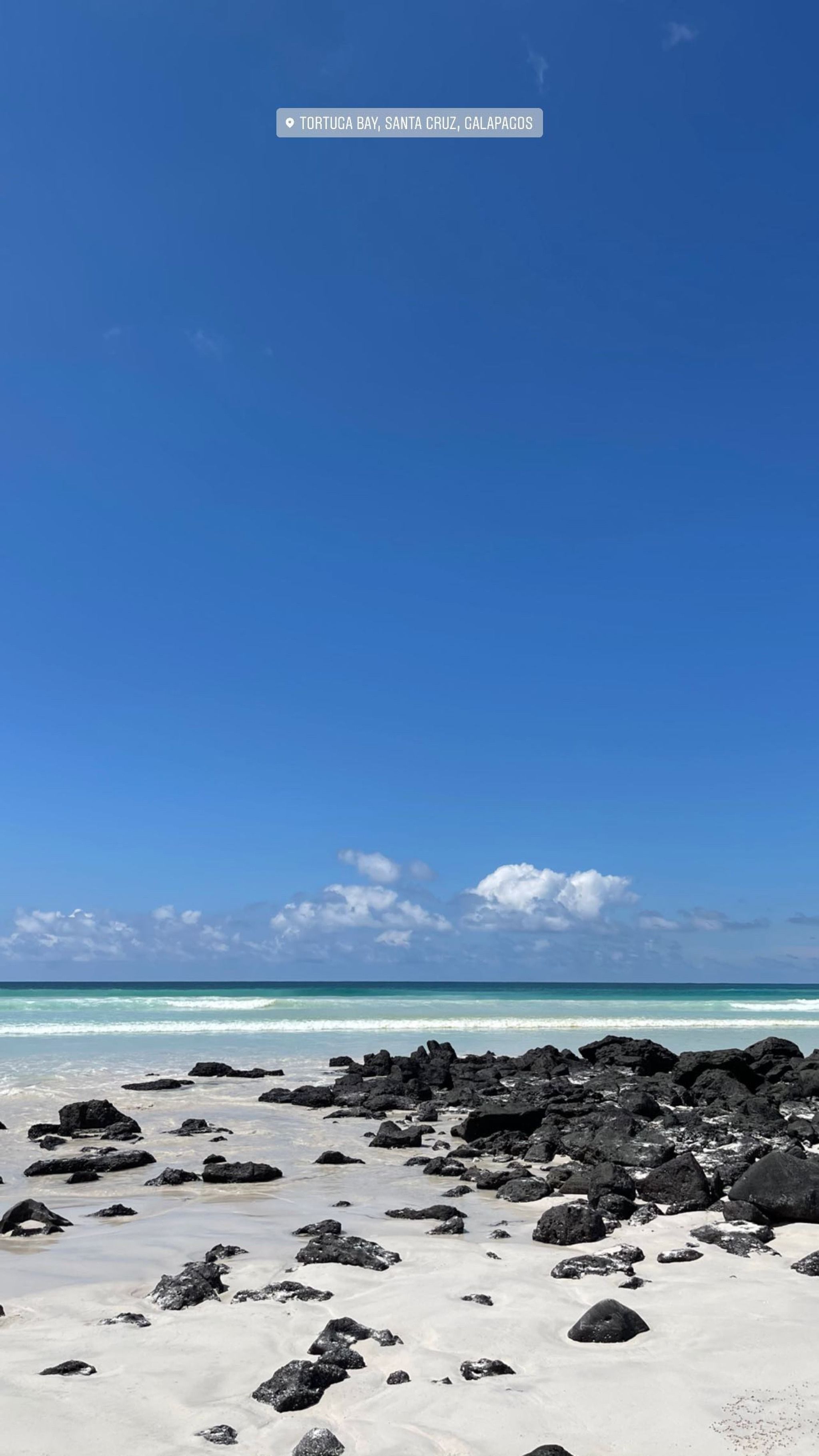 Tortuga Bay