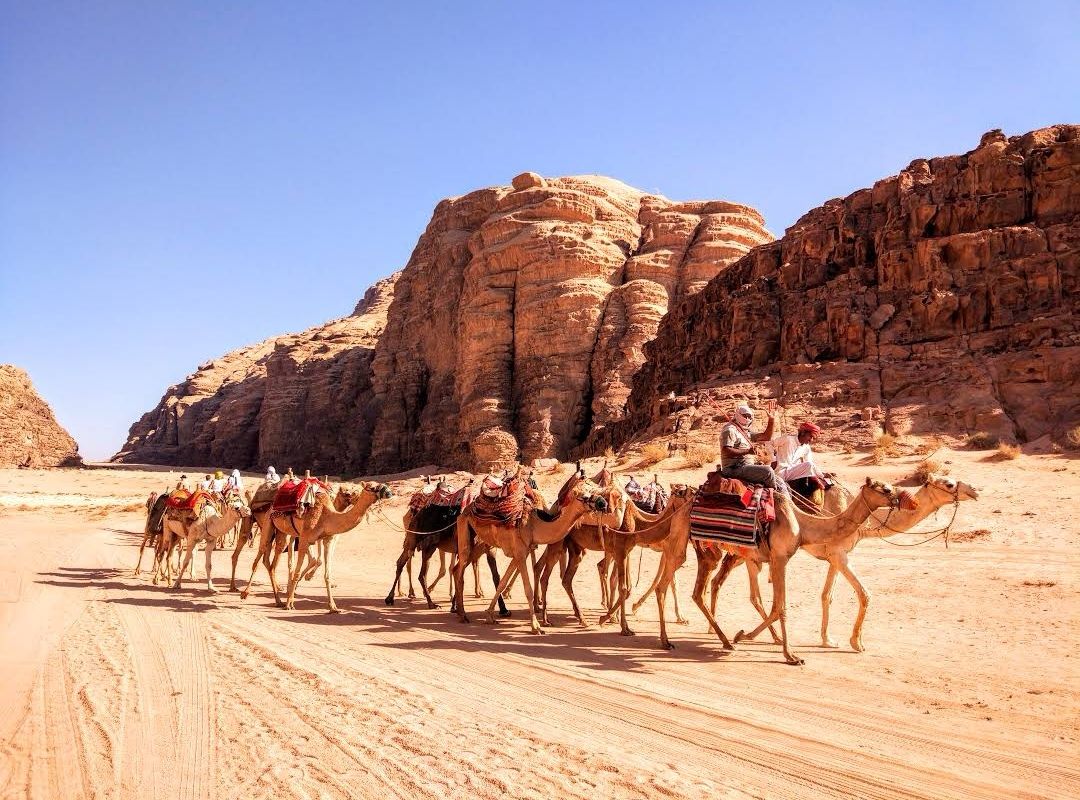 Wadi Rum Village