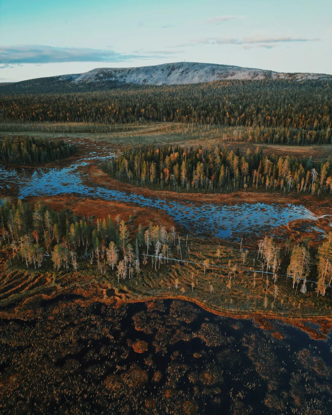 Pyhä-Luosto National Park