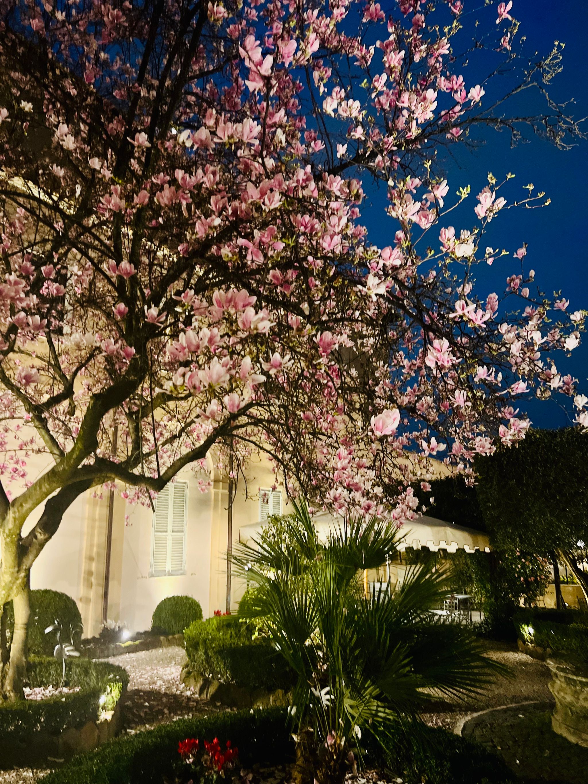Donna Camilla Savelli Hotel