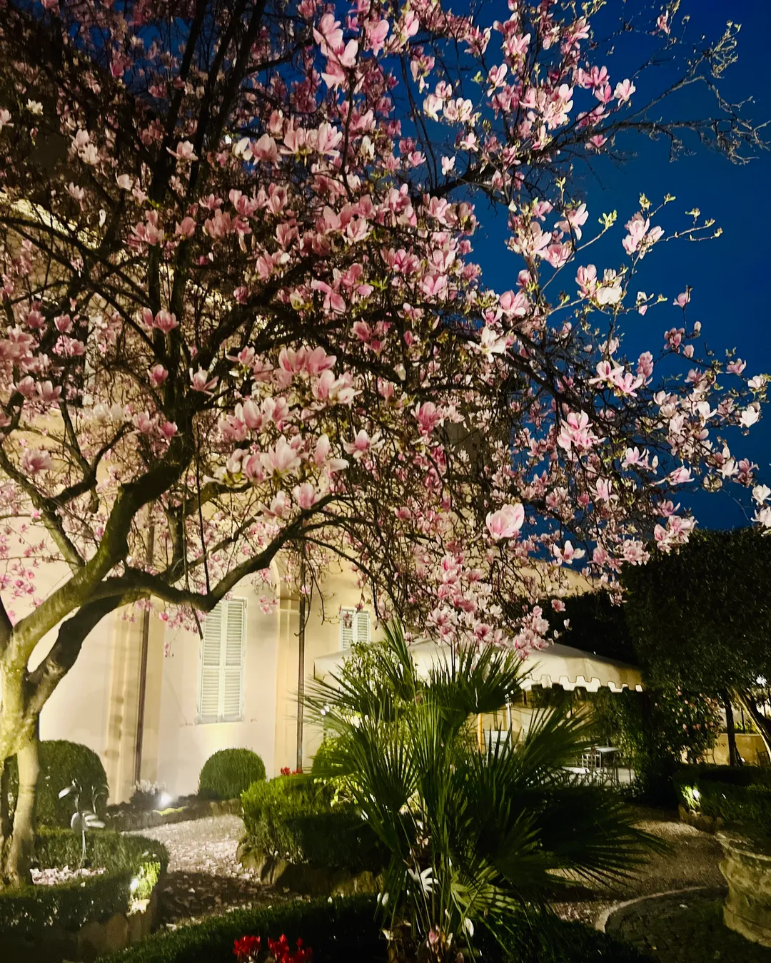 Donna Camilla Savelli Hotel