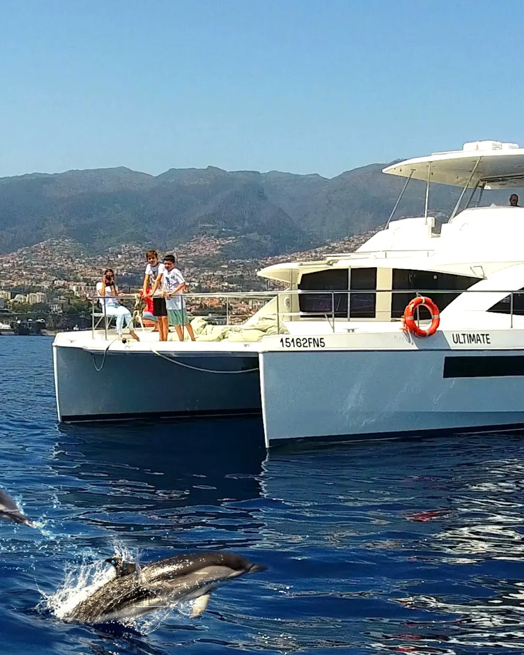 VipDolphins Catamaran Whale Watching