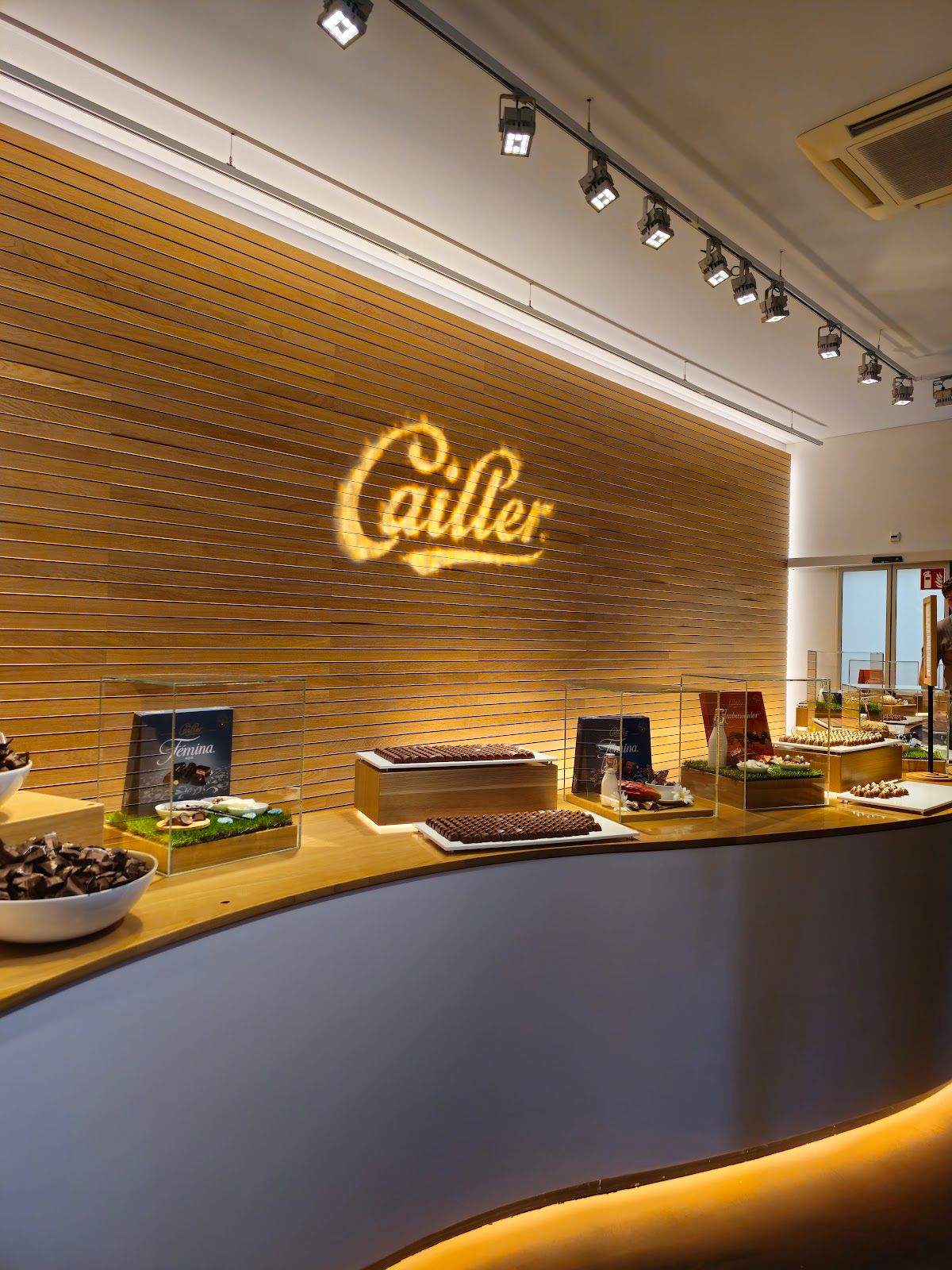 Maison Cailler Chocolate Factory and Gruyères excursion