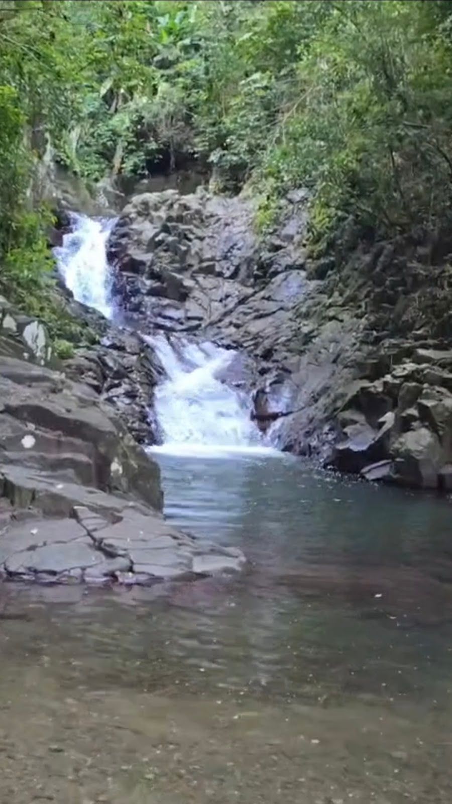 Toboggan naturel du Carbet