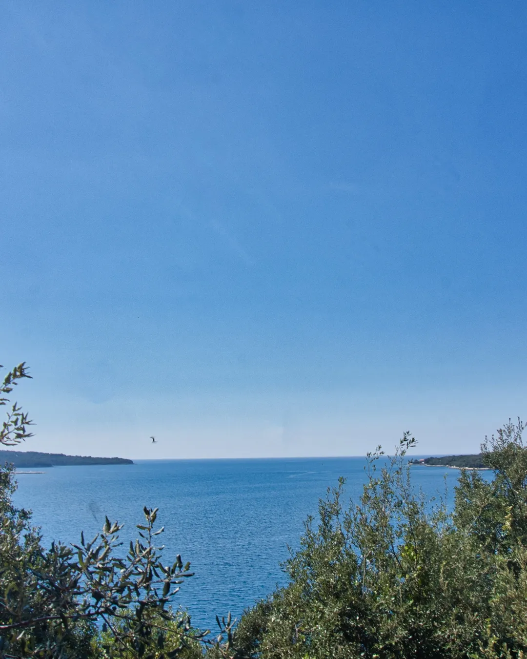 Aussichtspunkt Limski Kanal #5