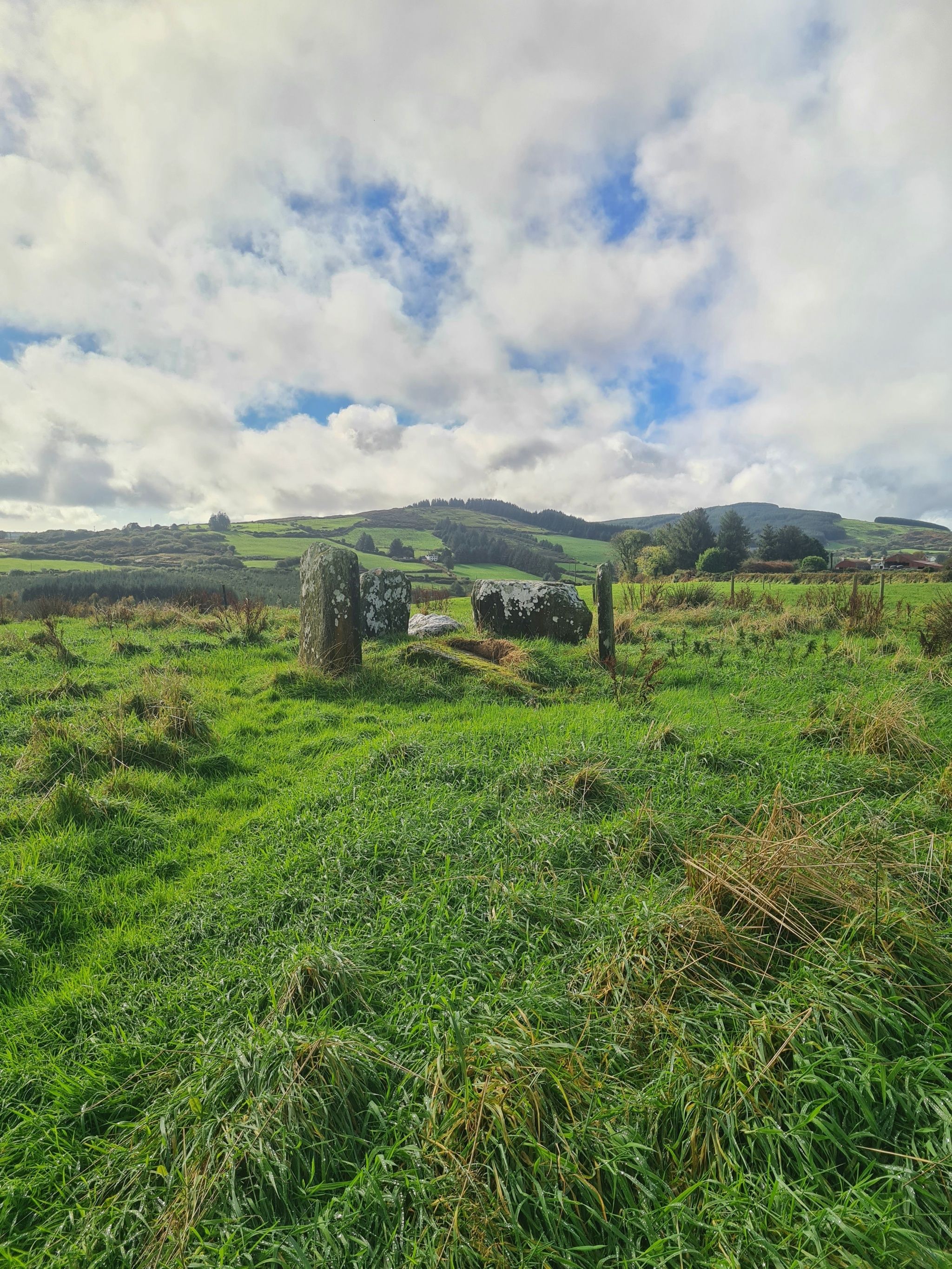 Lettergorman Stone Circle
