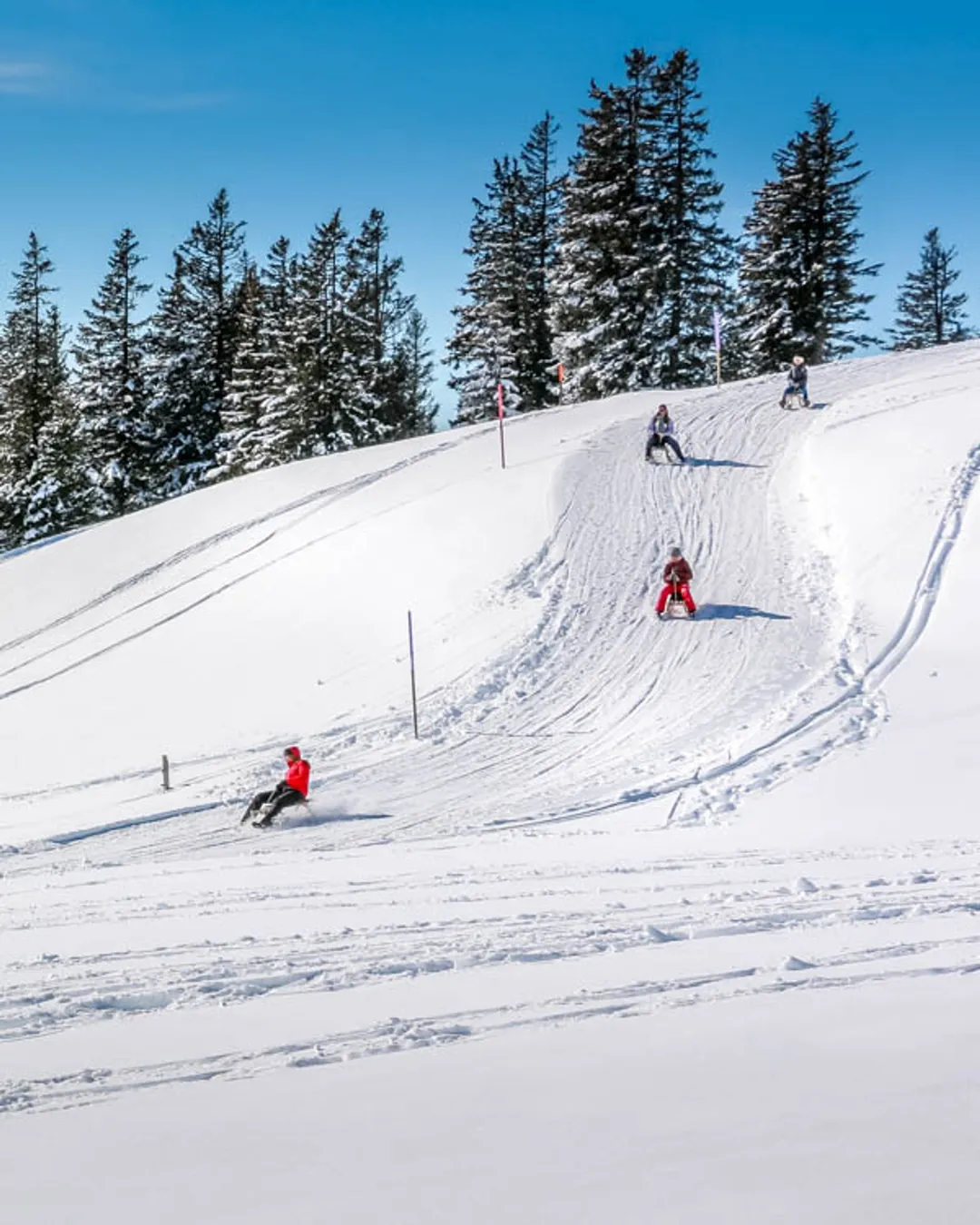 Mt Rigi Sledding - Winter, Switzerland - Rexby