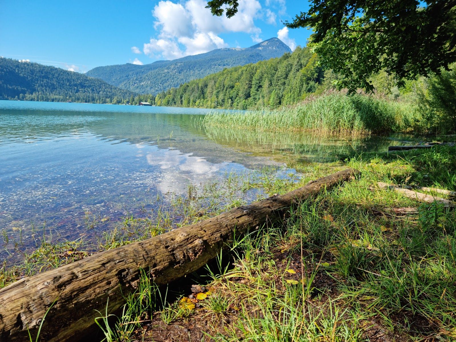 Walchensee