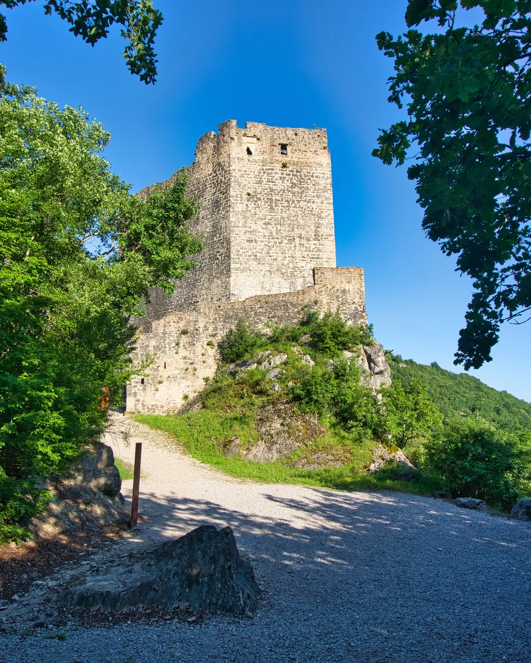 Pietrapelosa