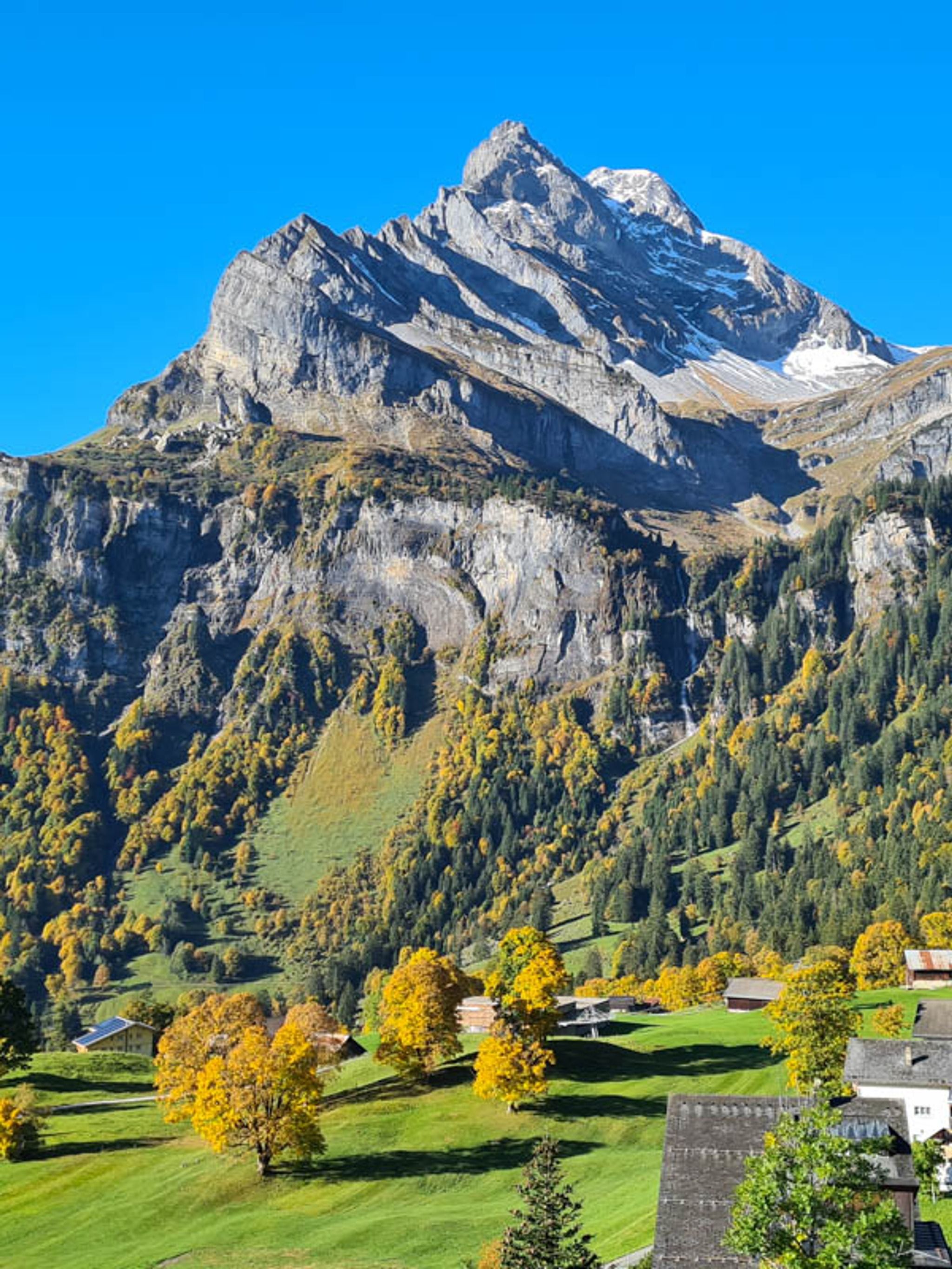 Braunwald Panorama Trail