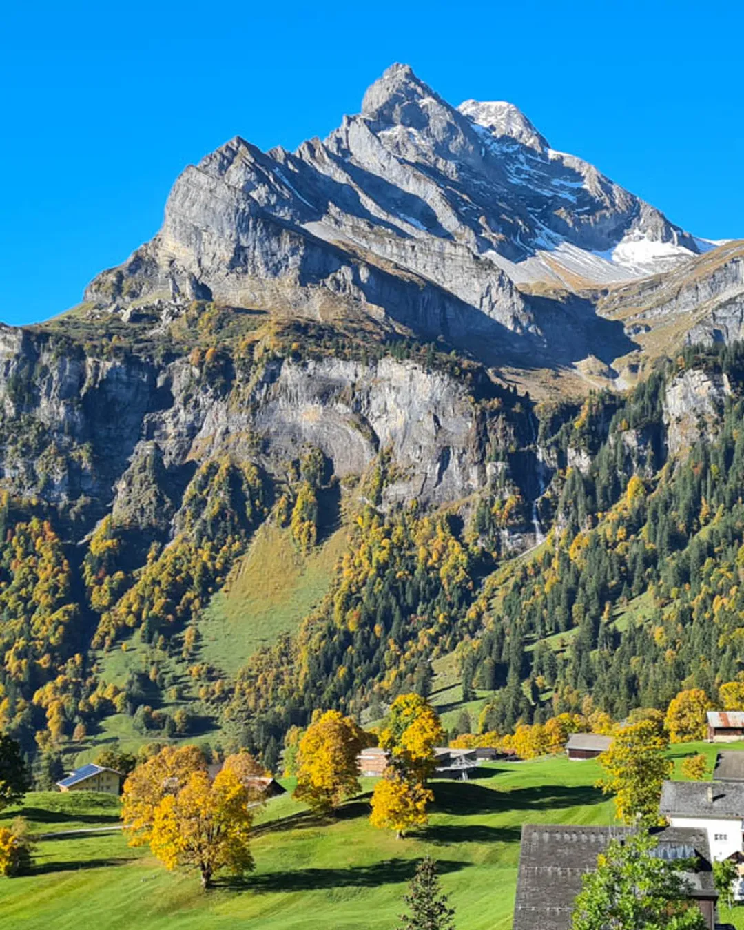 Braunwald Panorama Trail