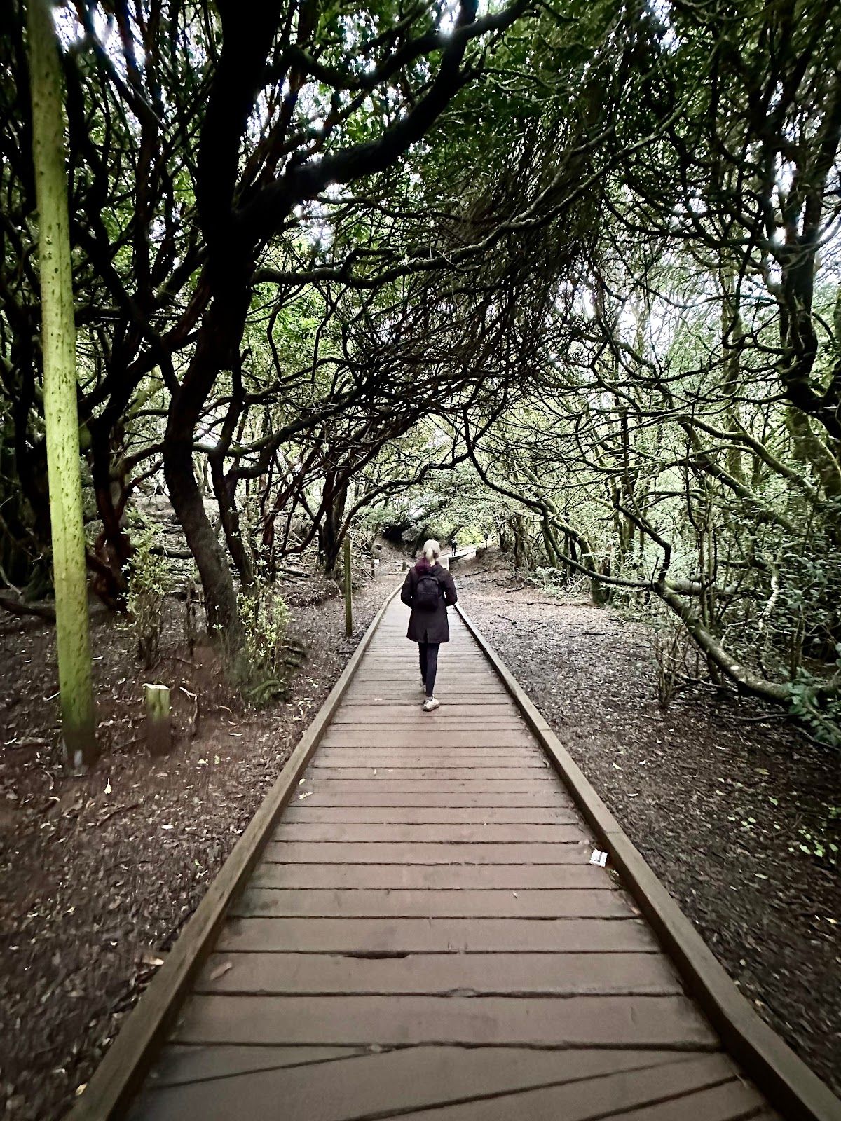 Mirador Cruz del Carmen