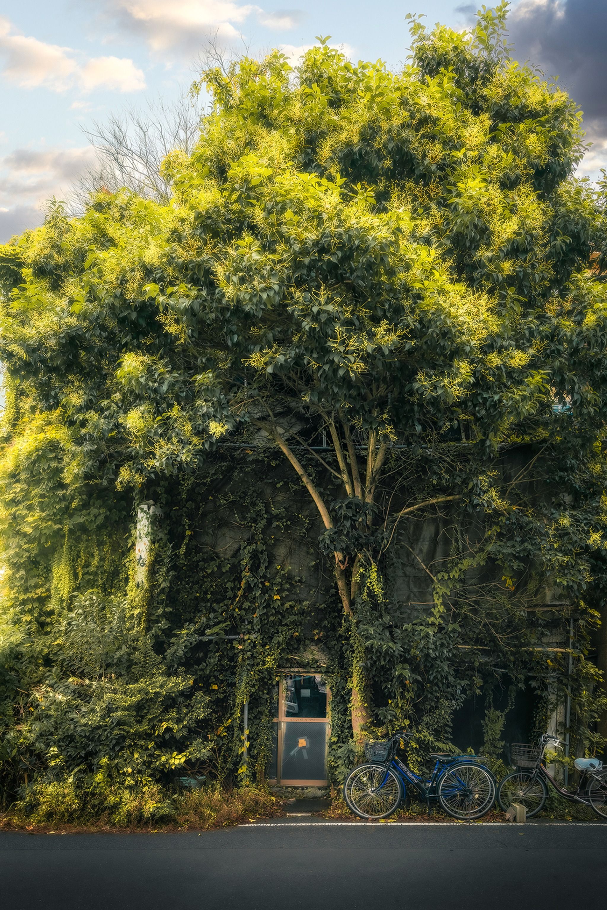 Taito - Ghiblis Guesthouse