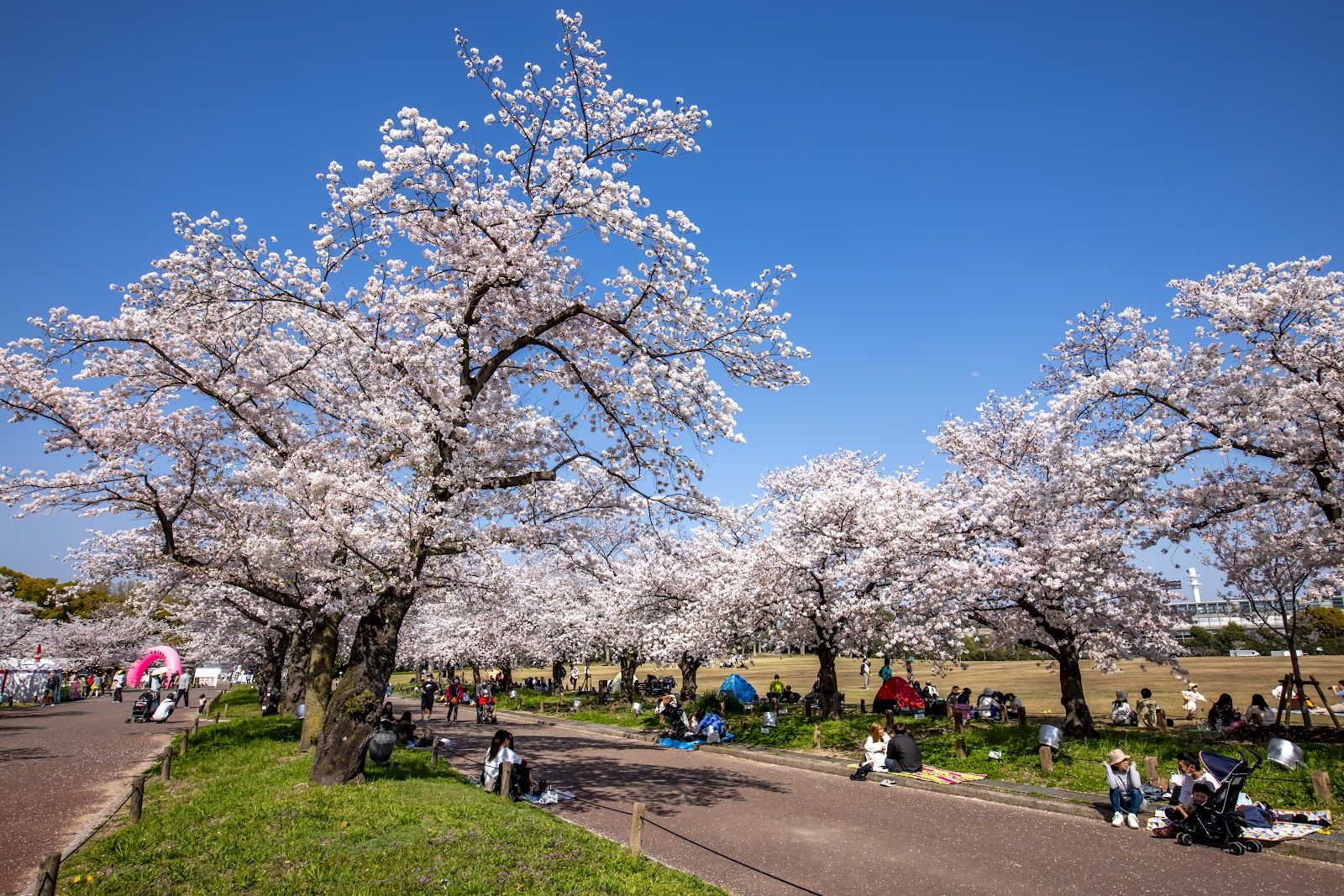 Expo Commemorative Park - Japan - Rexby