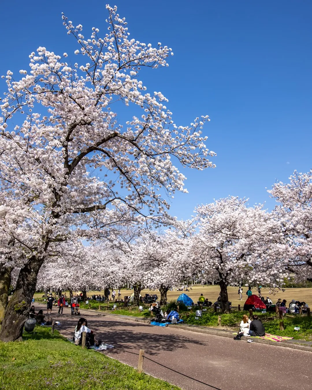 Expo Commemorative Park