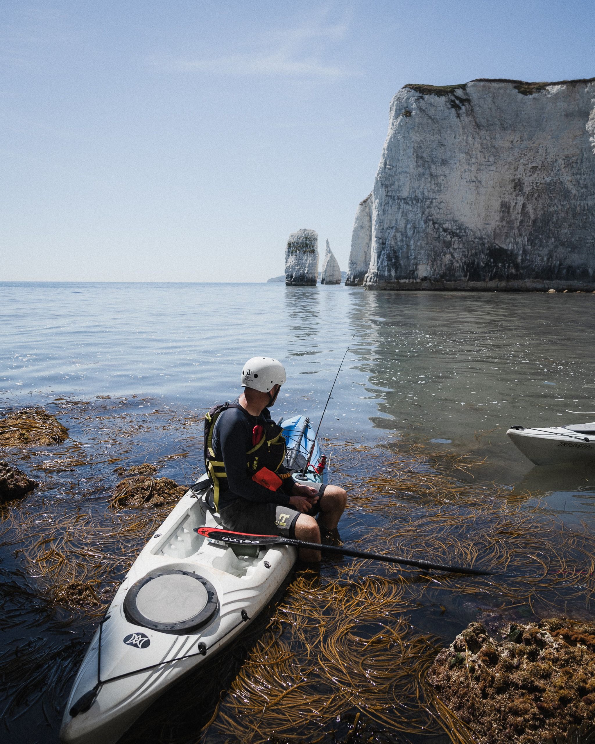 Sea Foraging - Guided Experience 