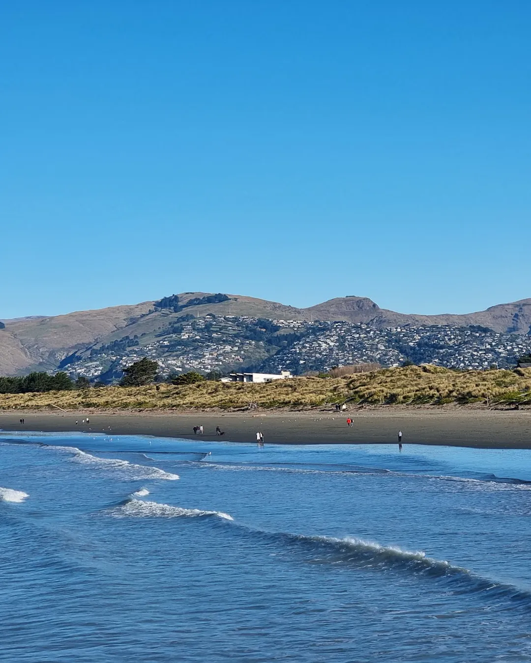 City Coastal Freedom Camping