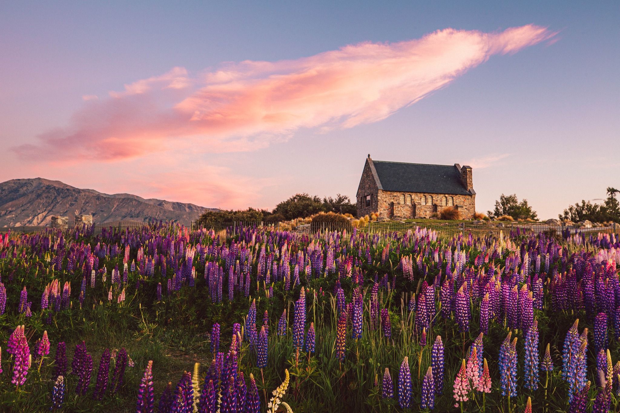 The Church of the Good Shepherd