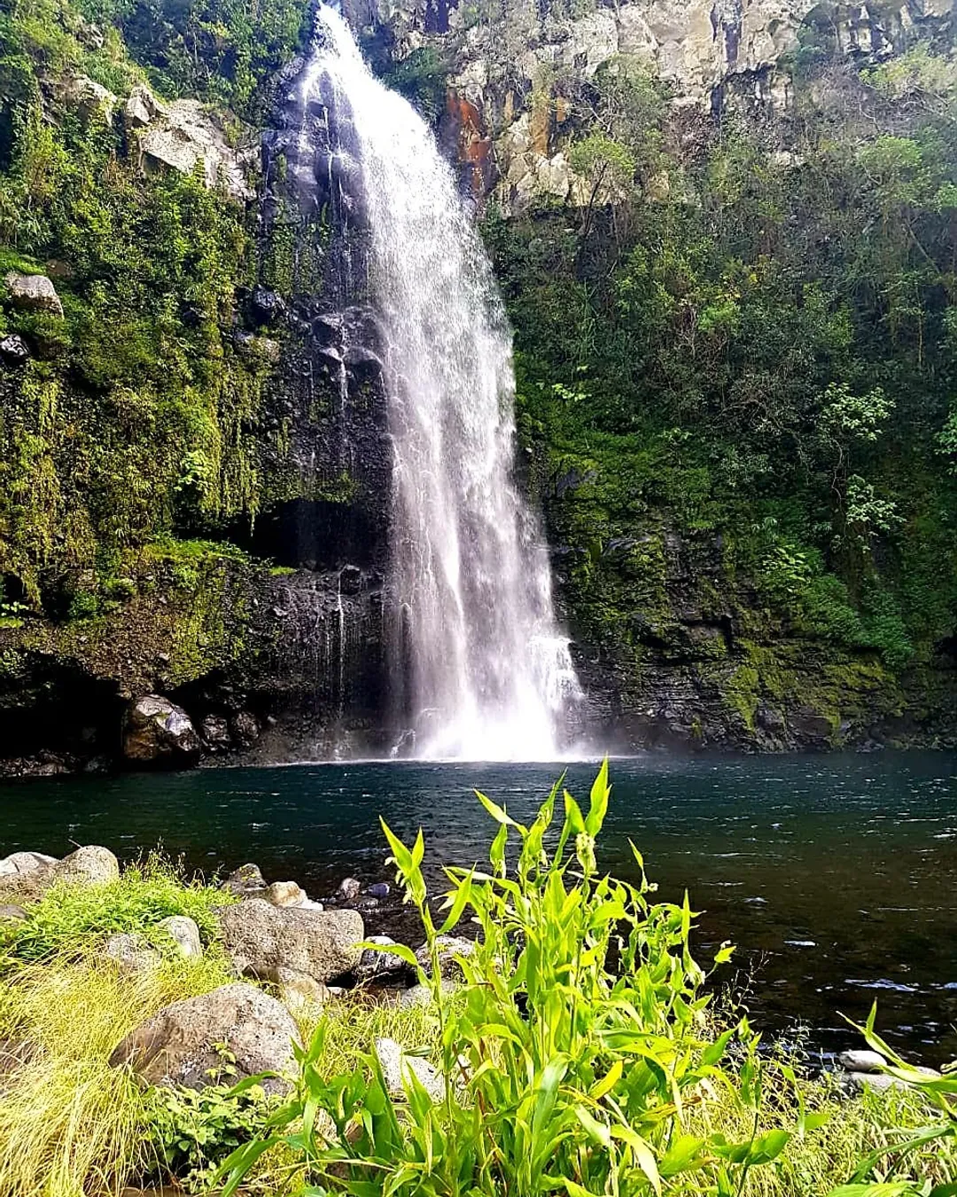 Grand Bassin Hike from Bois Court