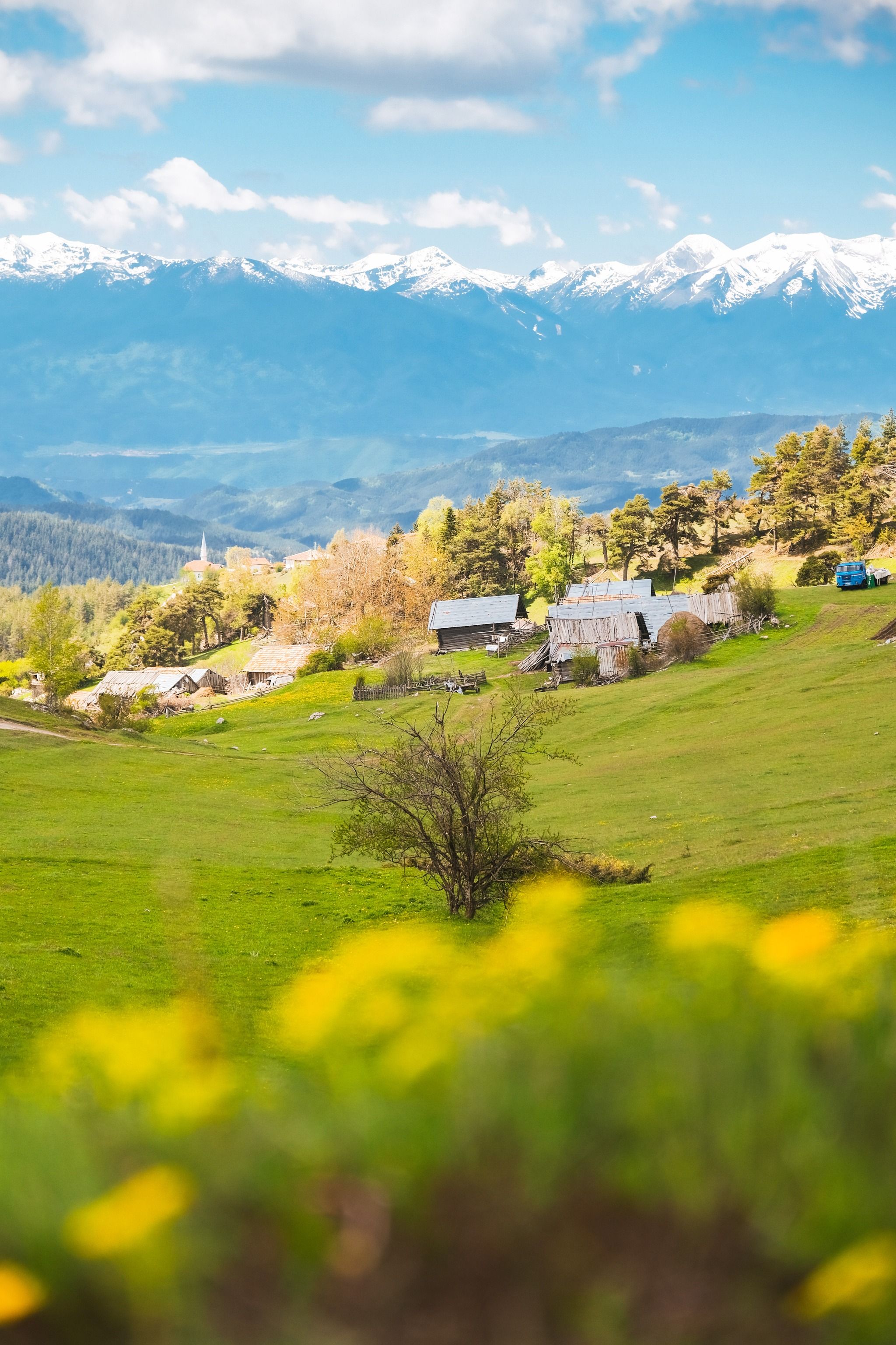 Село Орцево
