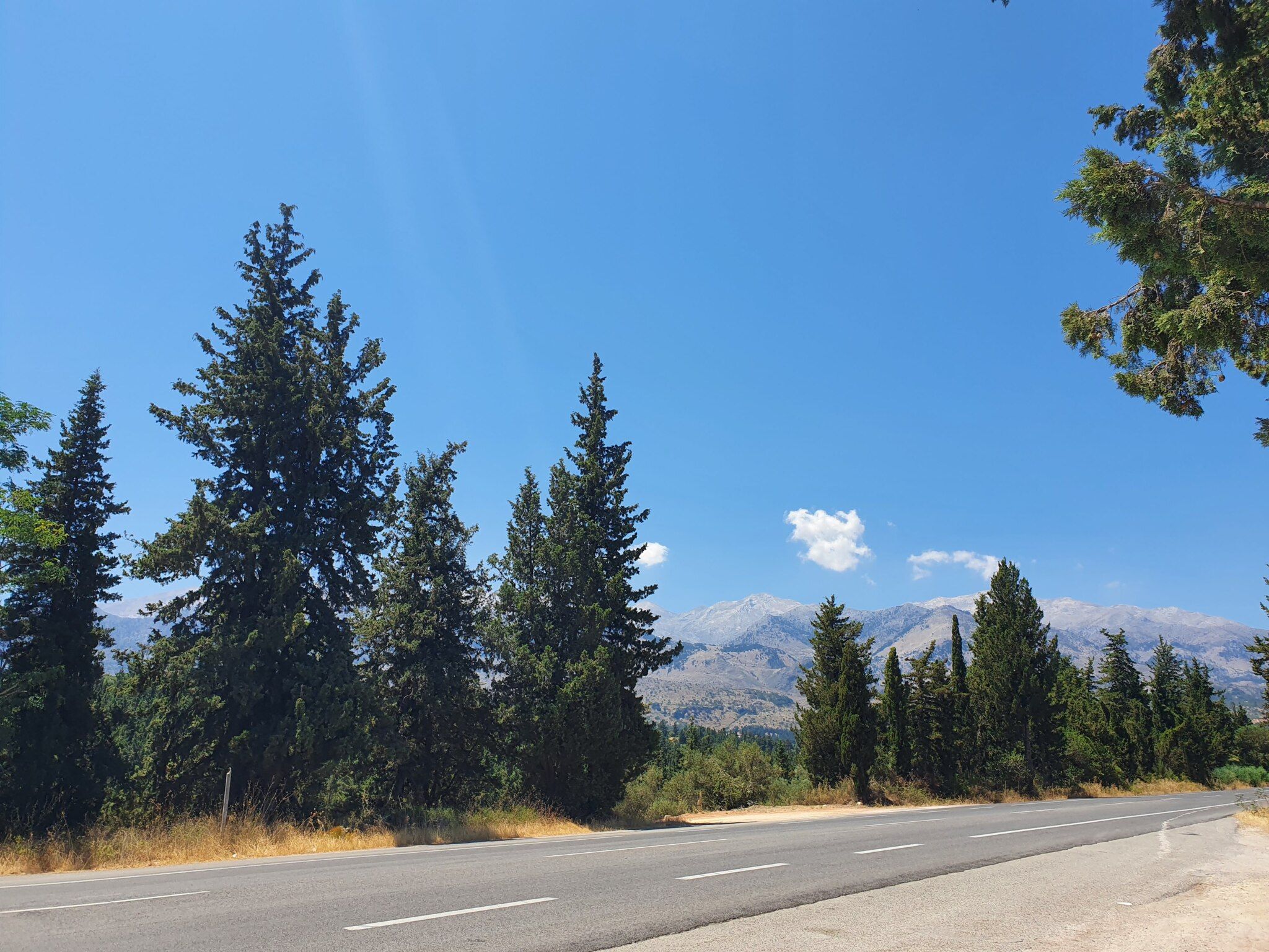 White Mountains Viewpoint
