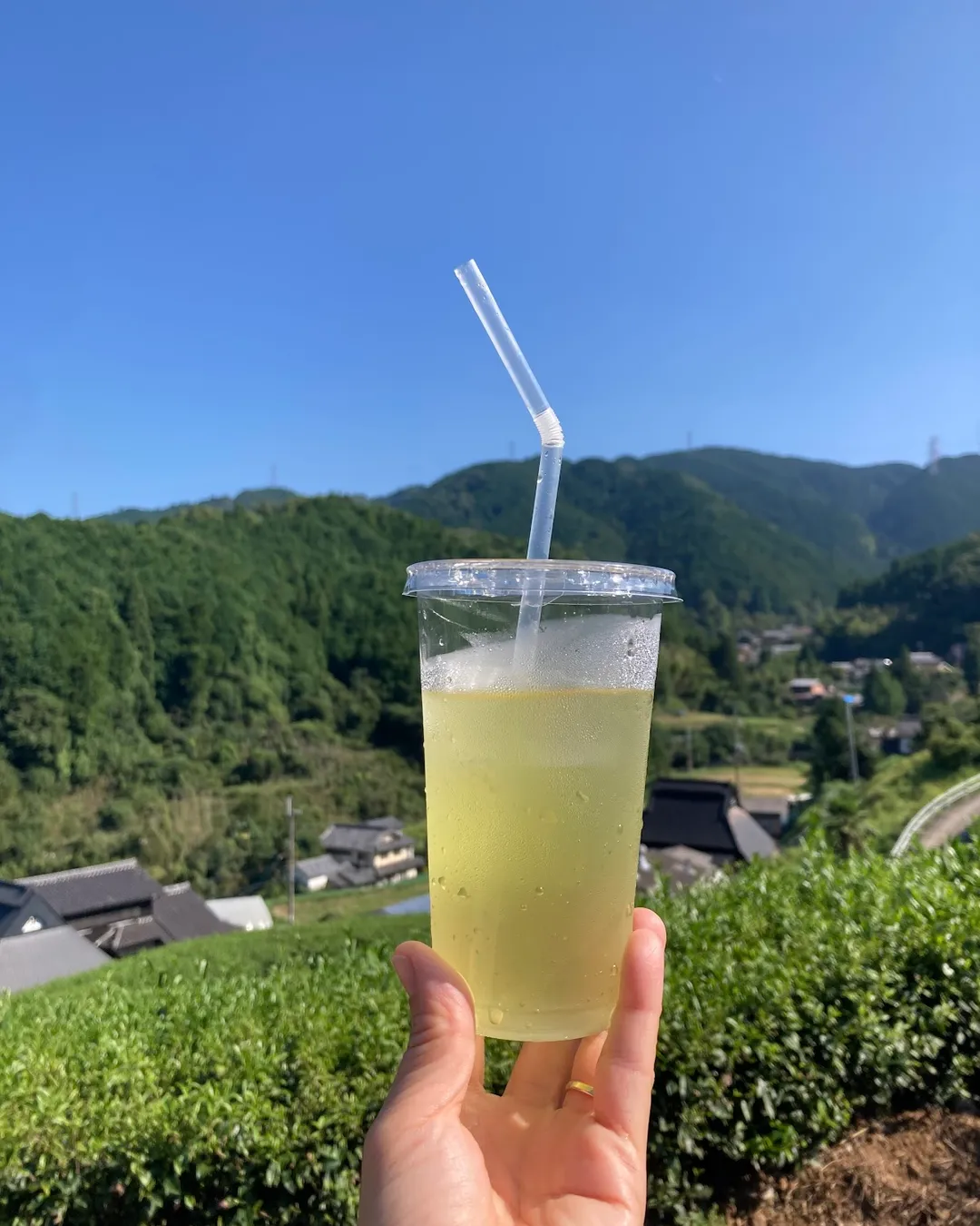 Koyama Tea Farm&Garden