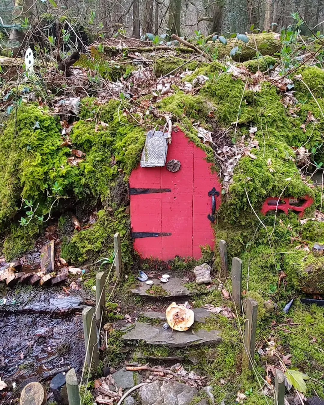 Slieve Gullion Forest Park