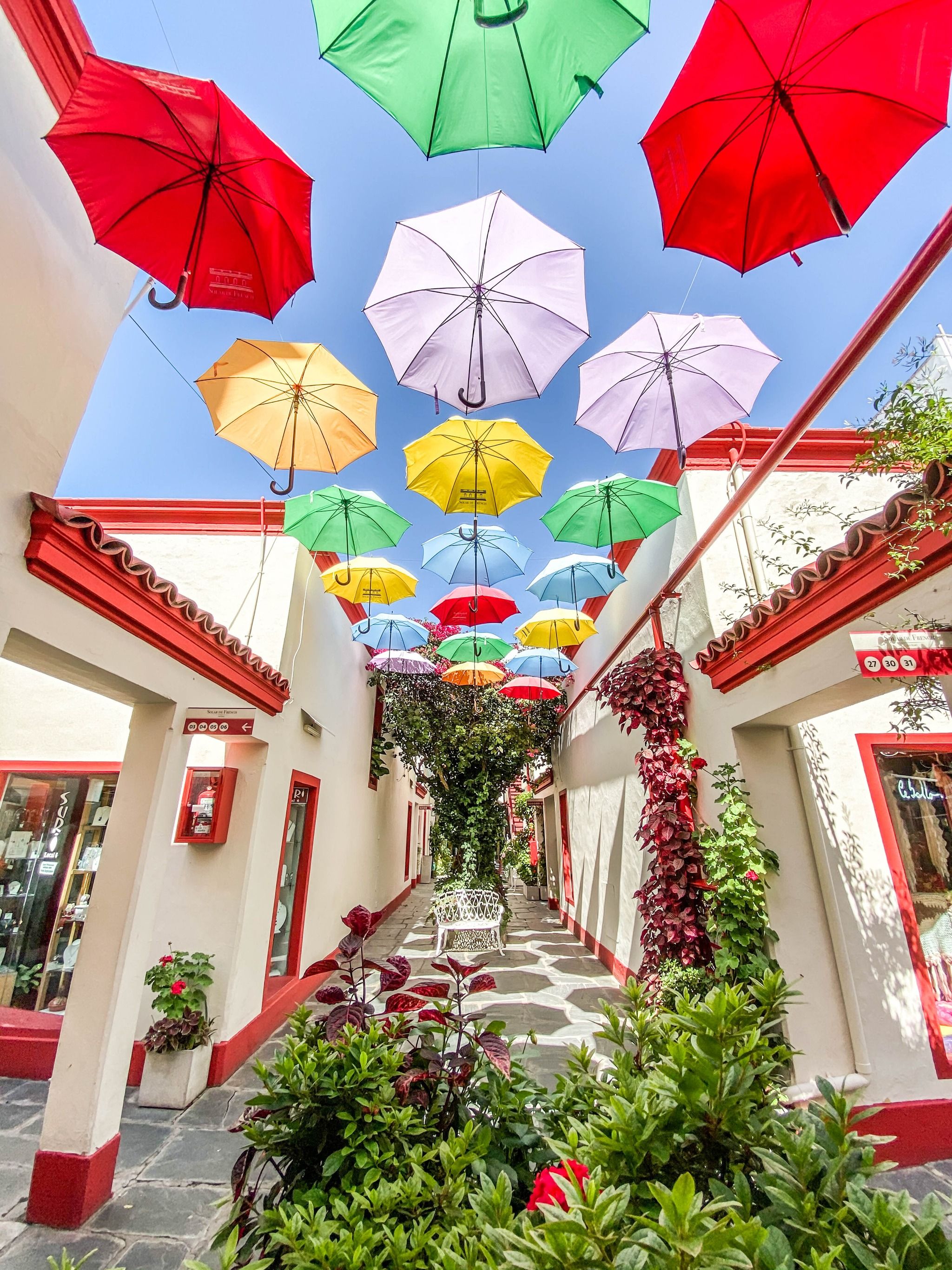 Galería Solar de French