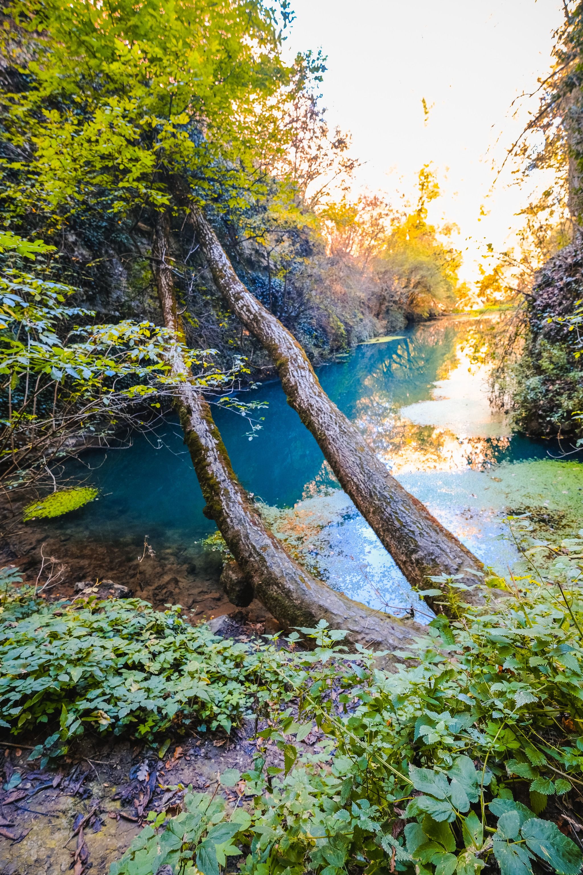 Karstov izvor Zlatna Panega