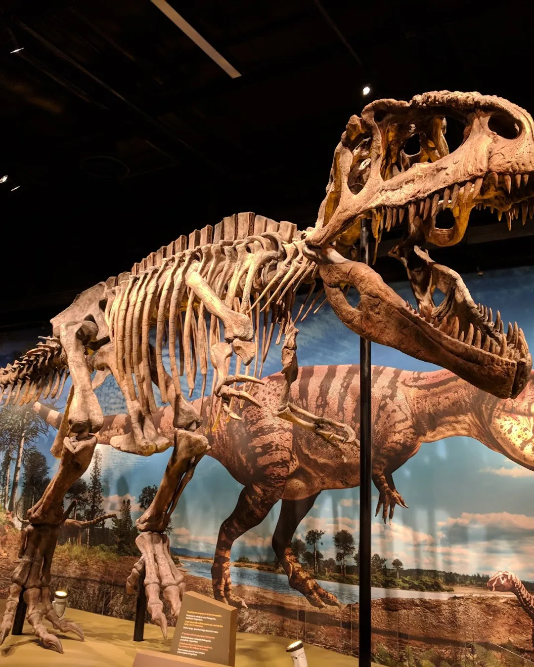 Denver Museum of Nature & Science