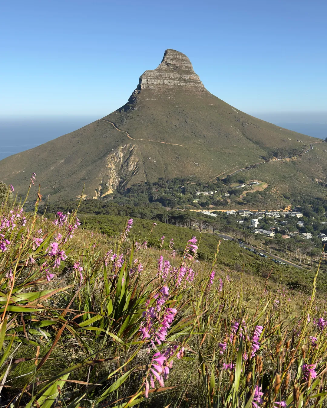 Lion Trail starting point