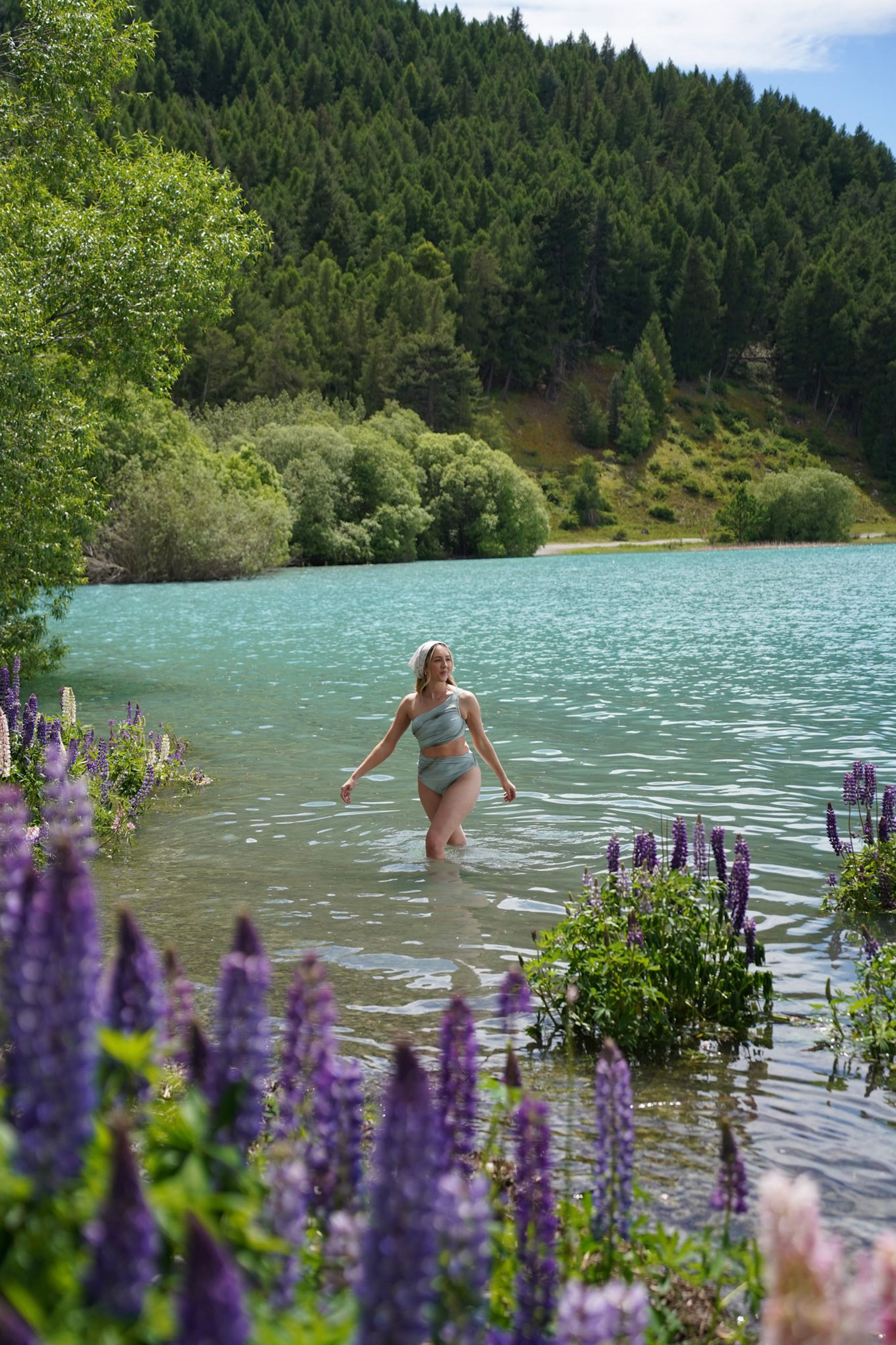 Tekapo Lakefront Lupin Photo Spot