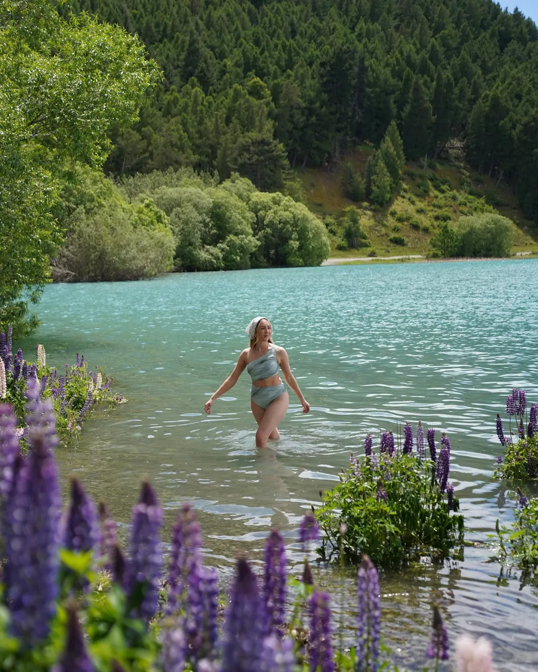 Tekapo Lakefront Lupin Photo Spot