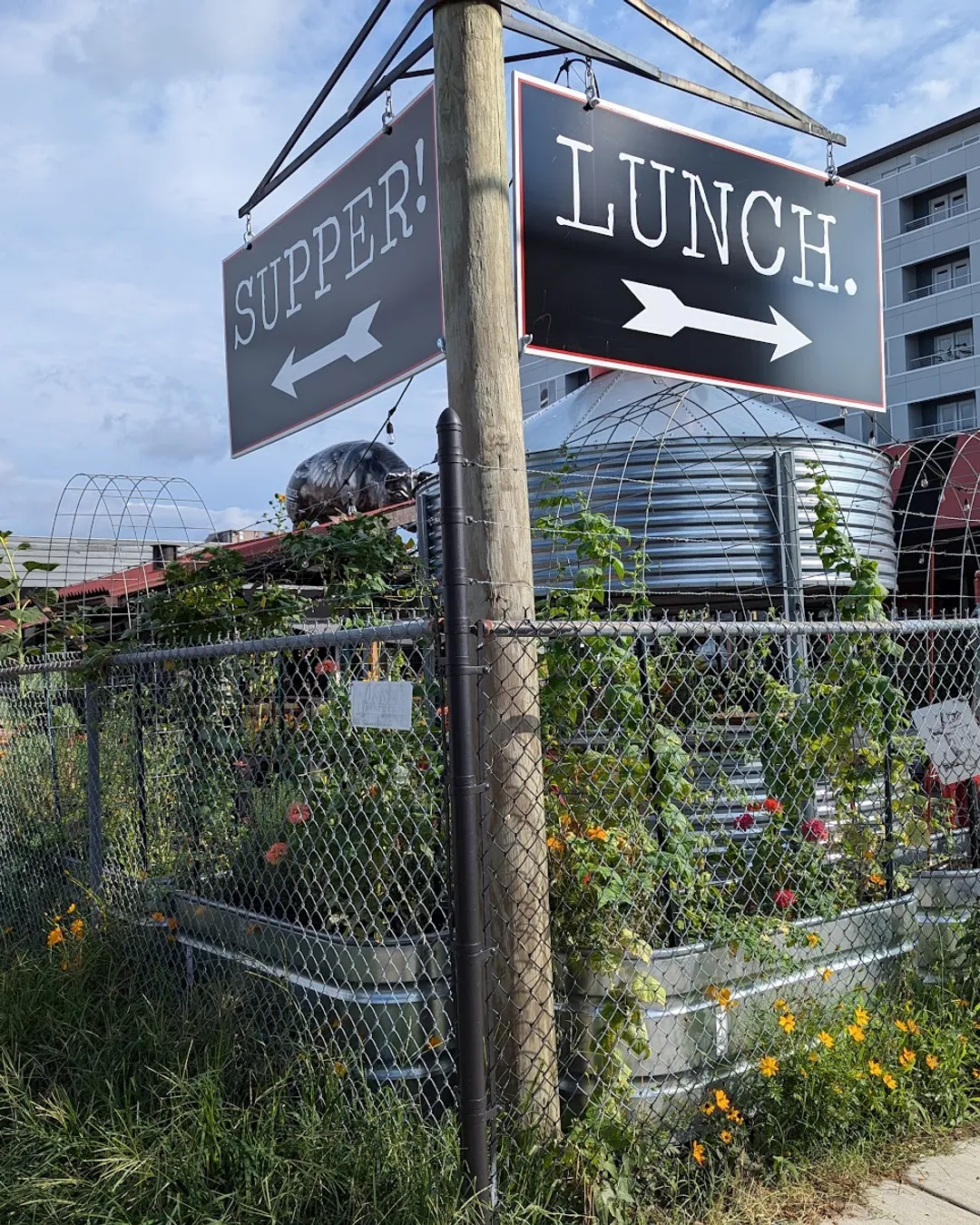 LUNCH.SUPPER! - Richmond, United States - Rexby