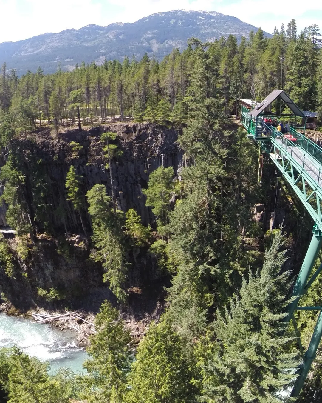 Whistler Bungee Bridge