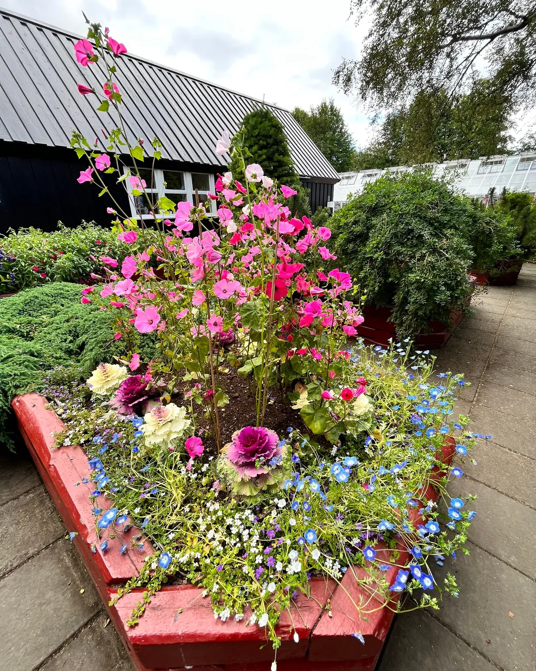 Akureyri Botanical Garden