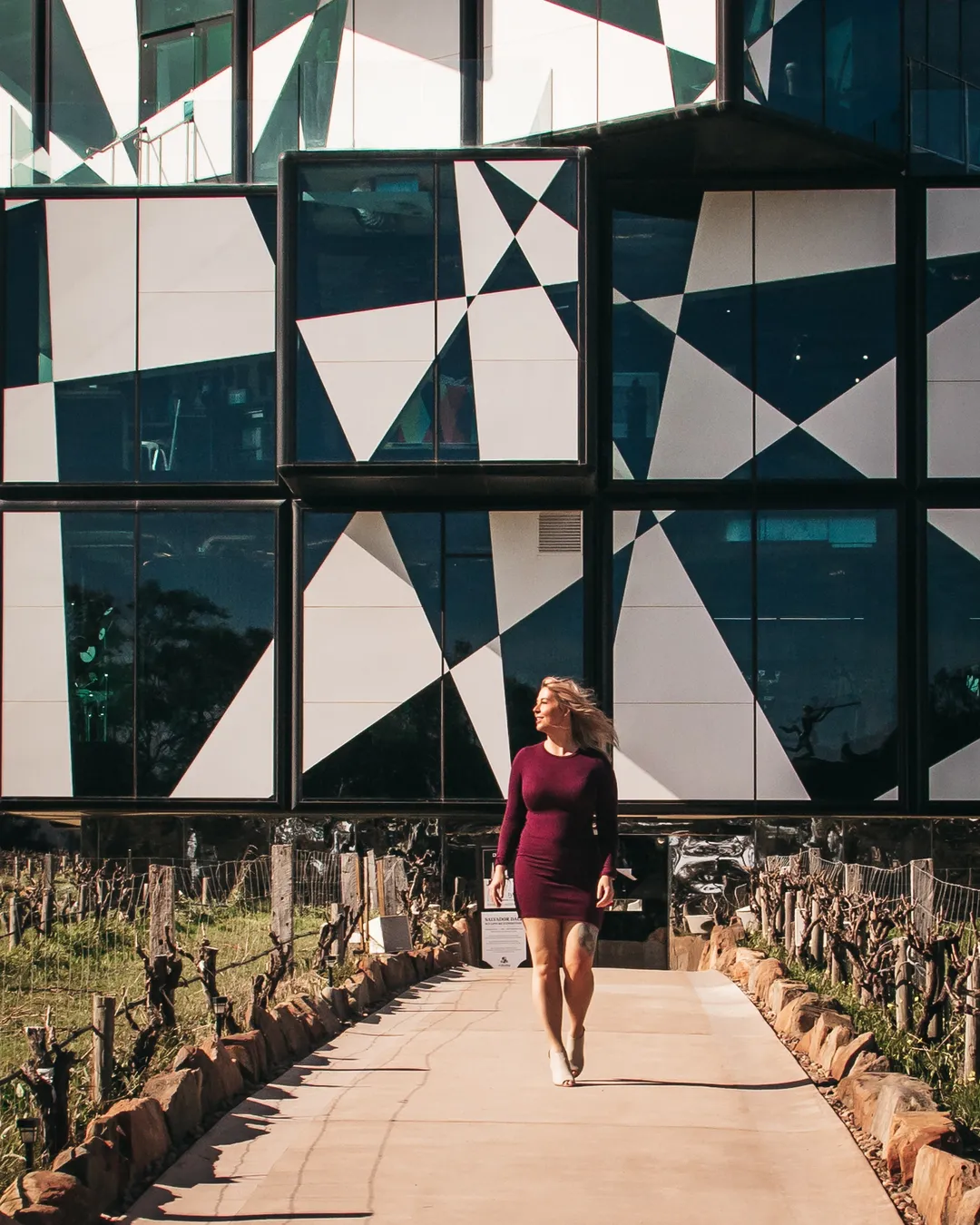 The d'Arenberg Cube