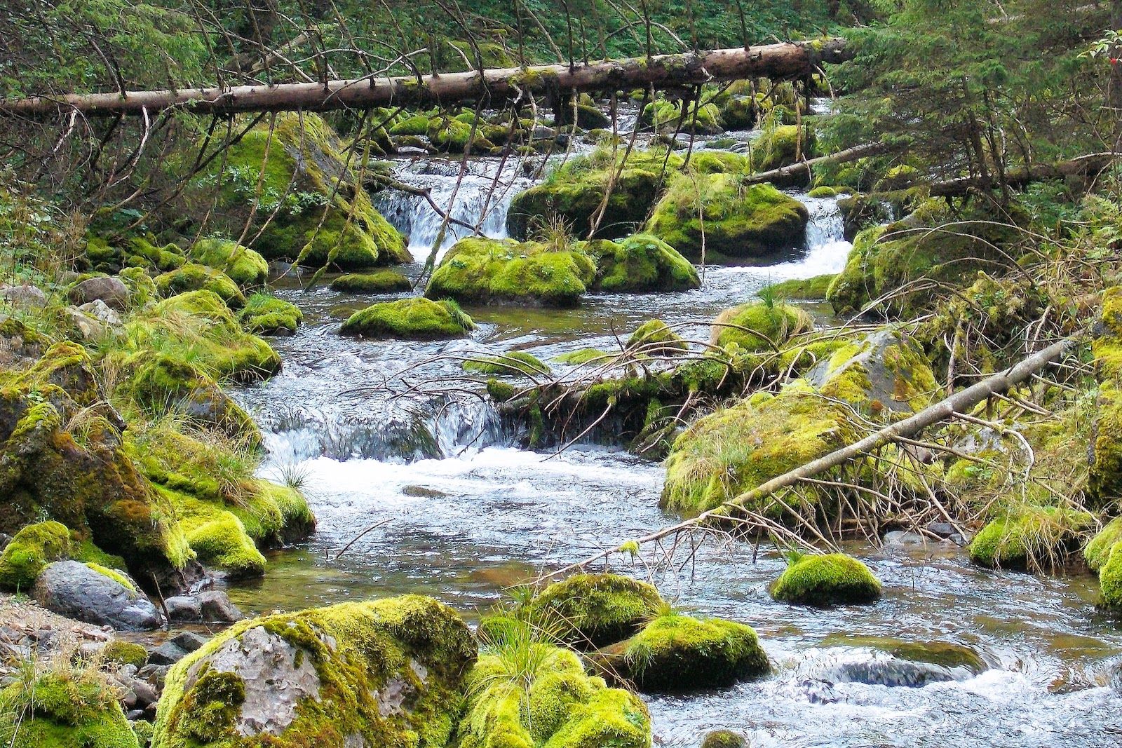 Kościeliski Stream