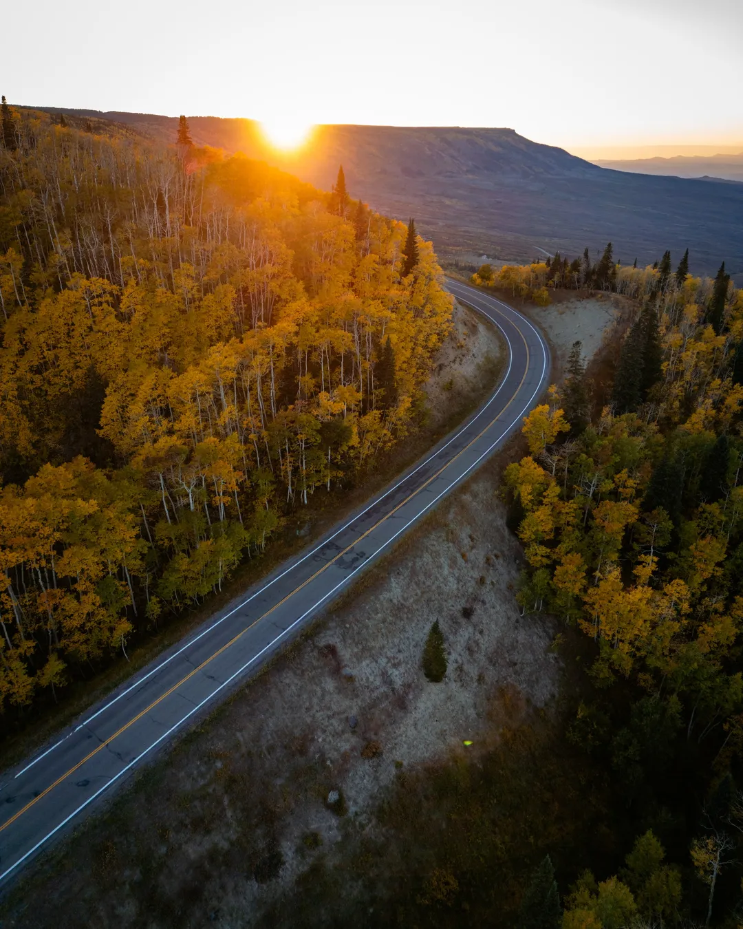 Grand Mesa Scenic Byway