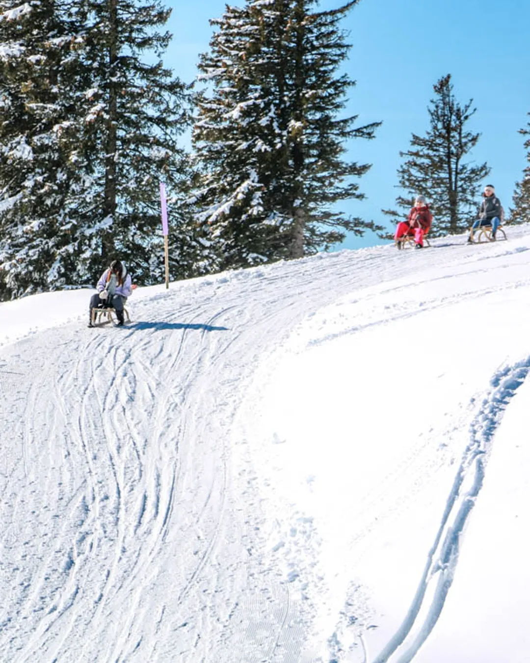 Mt Rigi Sledding - Winter, Switzerland - Rexby