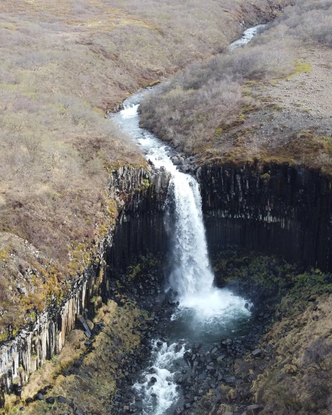 Svartifoss