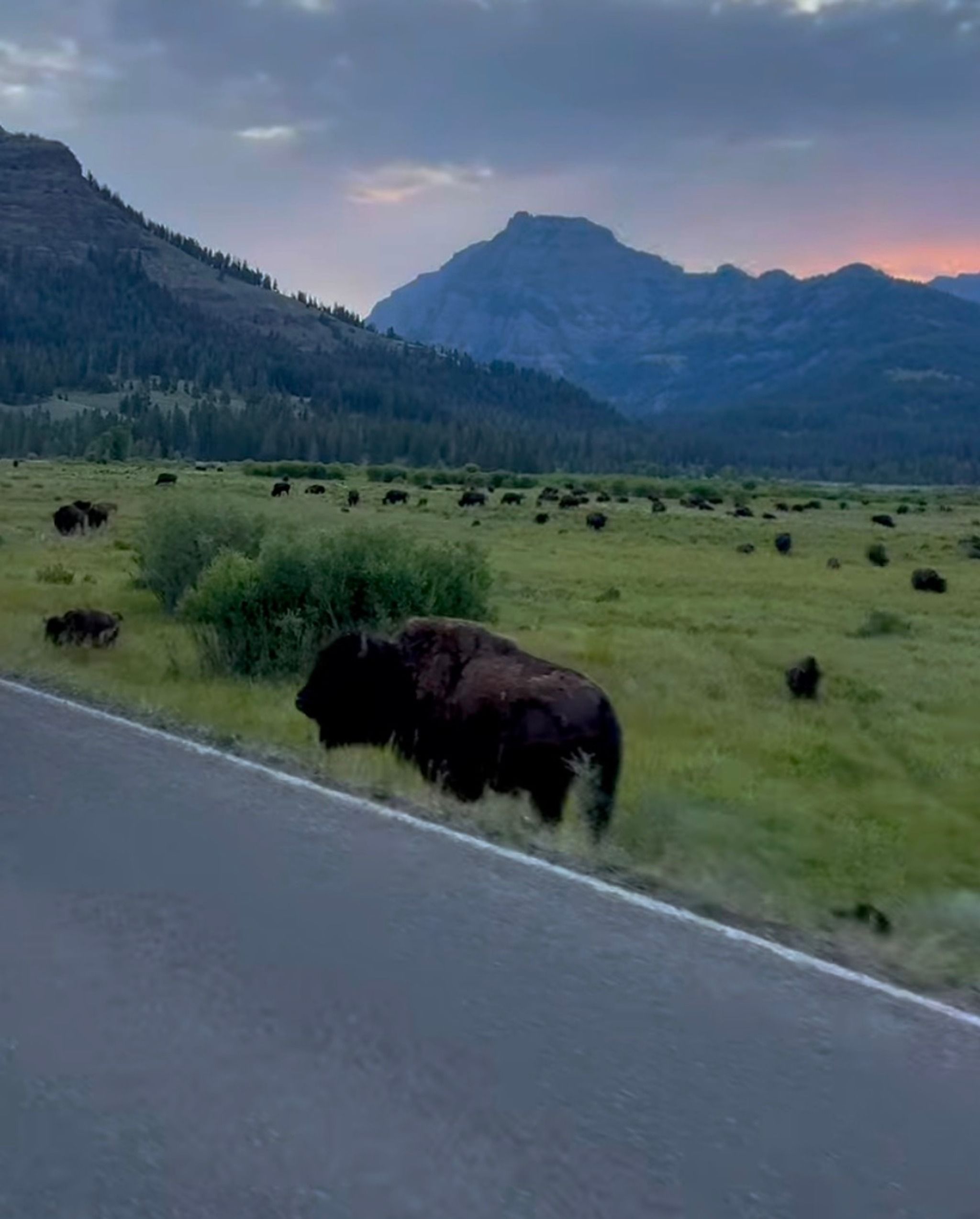 Lamar Valley