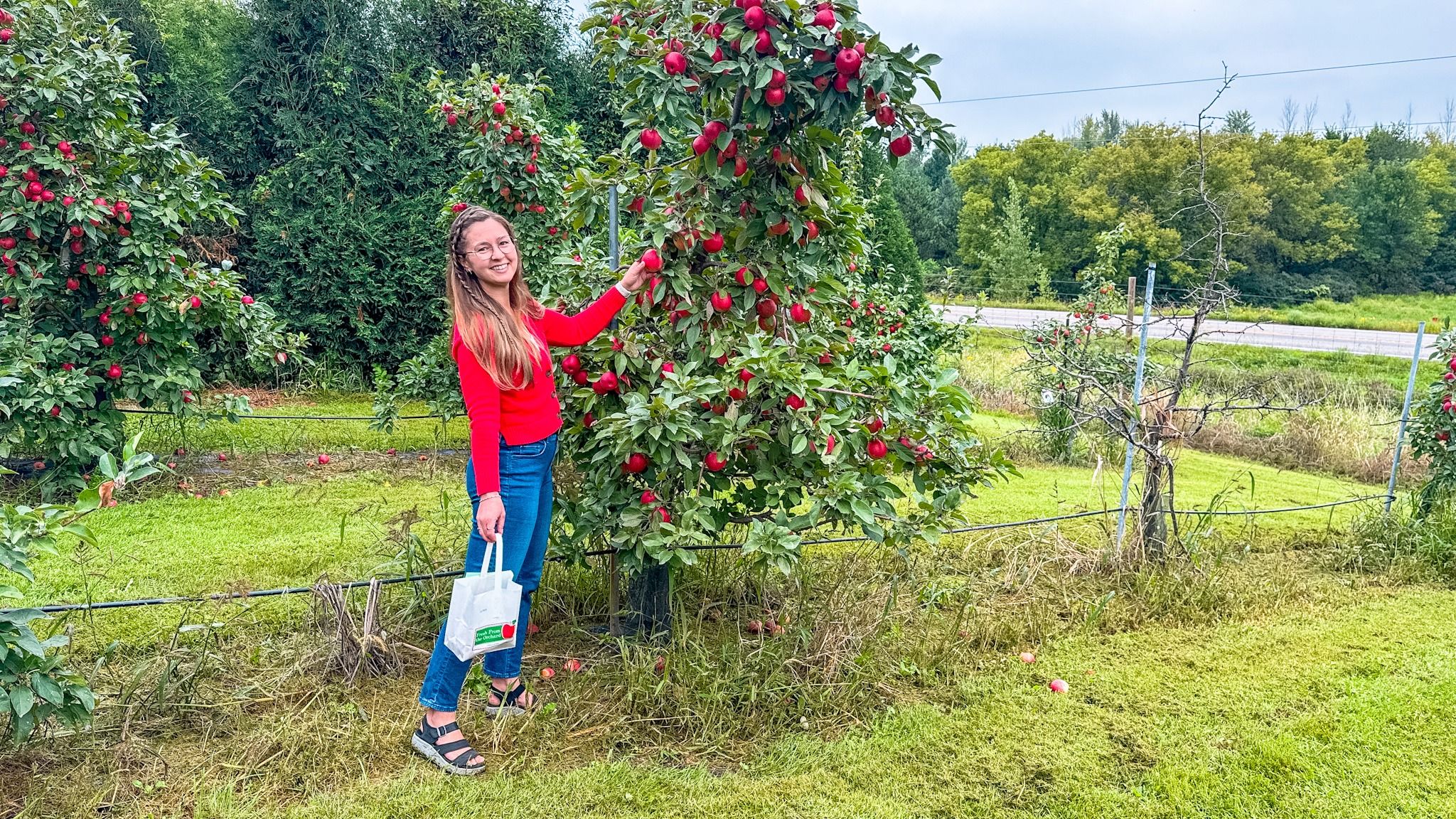 Montgomery Orchard
