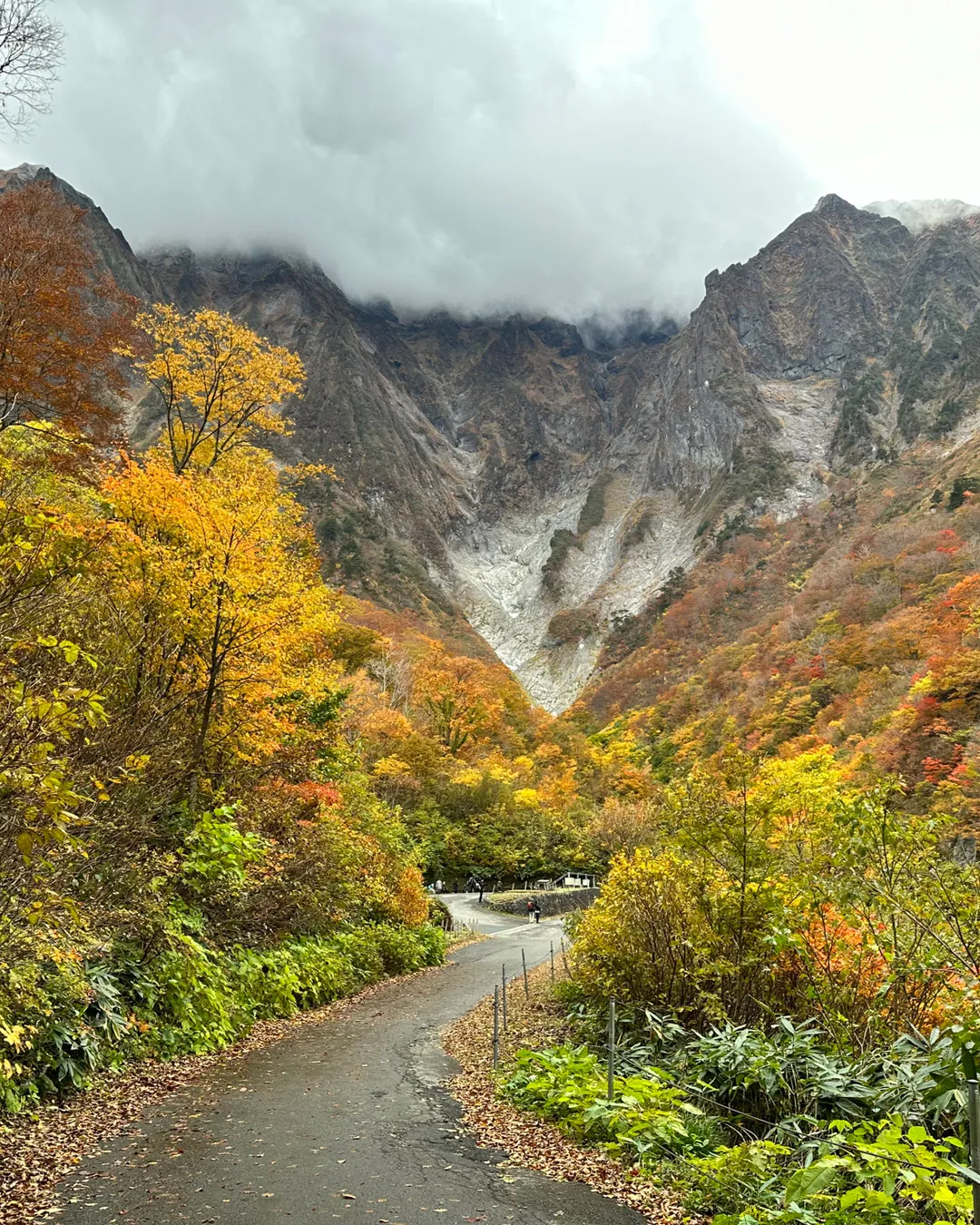 Ichinokura-sawa Trail