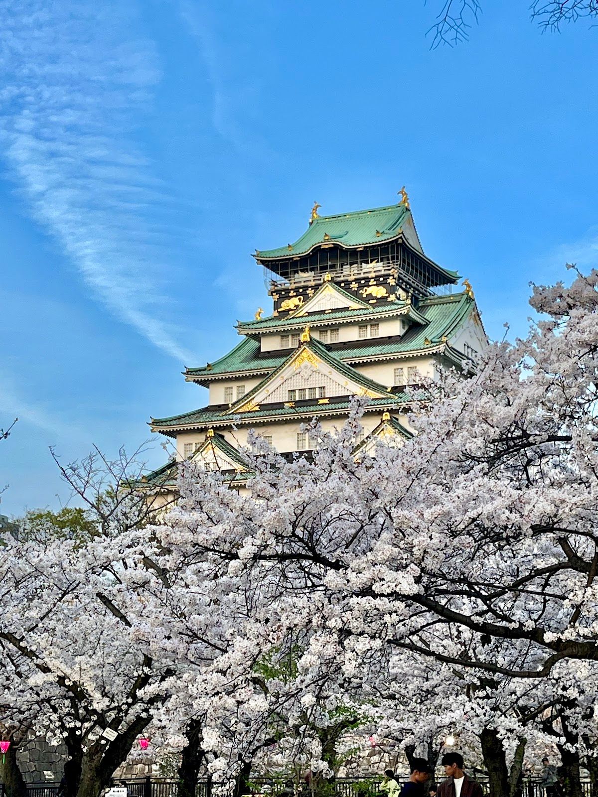 Osaka Castle Park / 大阪城公園
