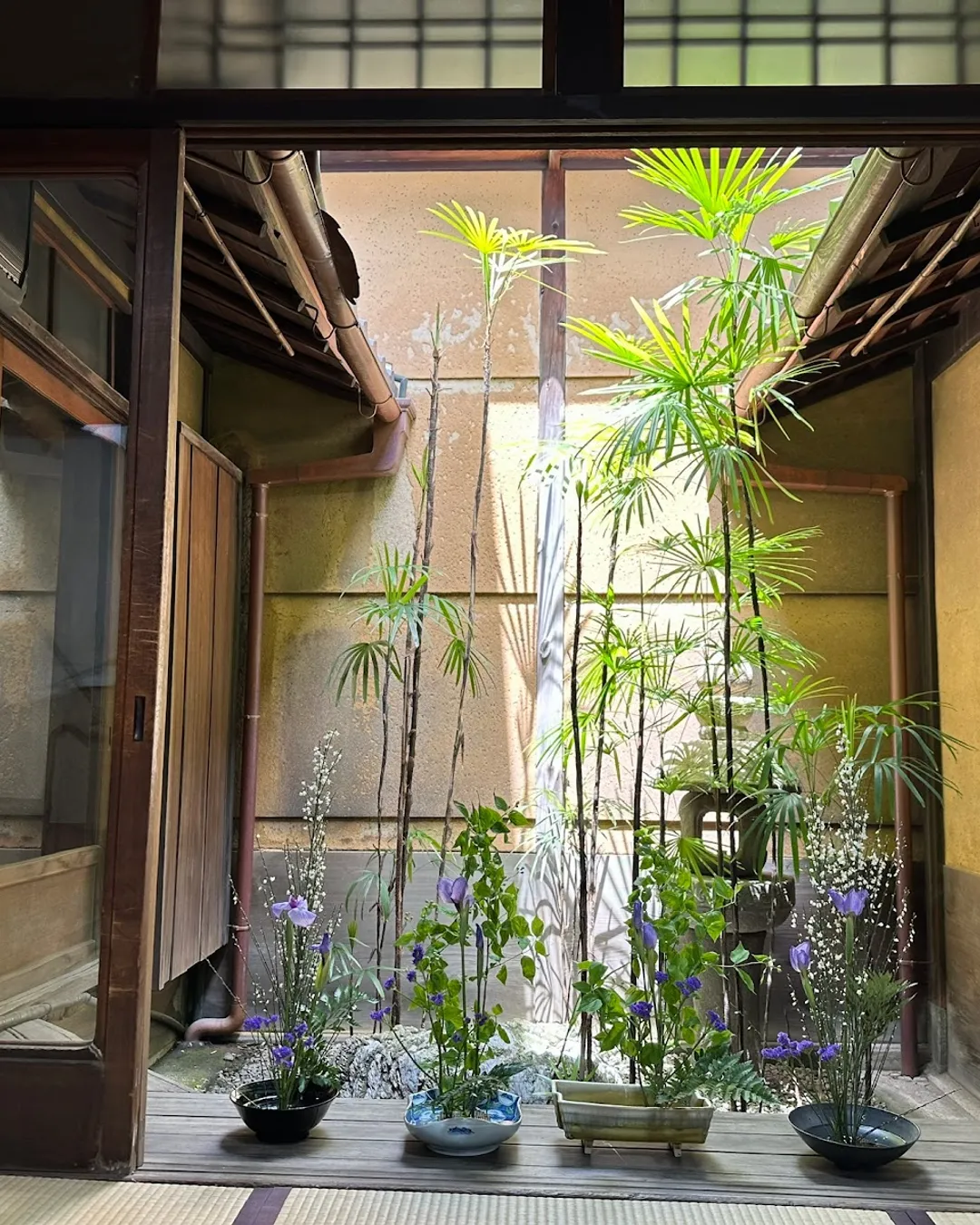 Kyoto: Ikebana (Arrangement floral)