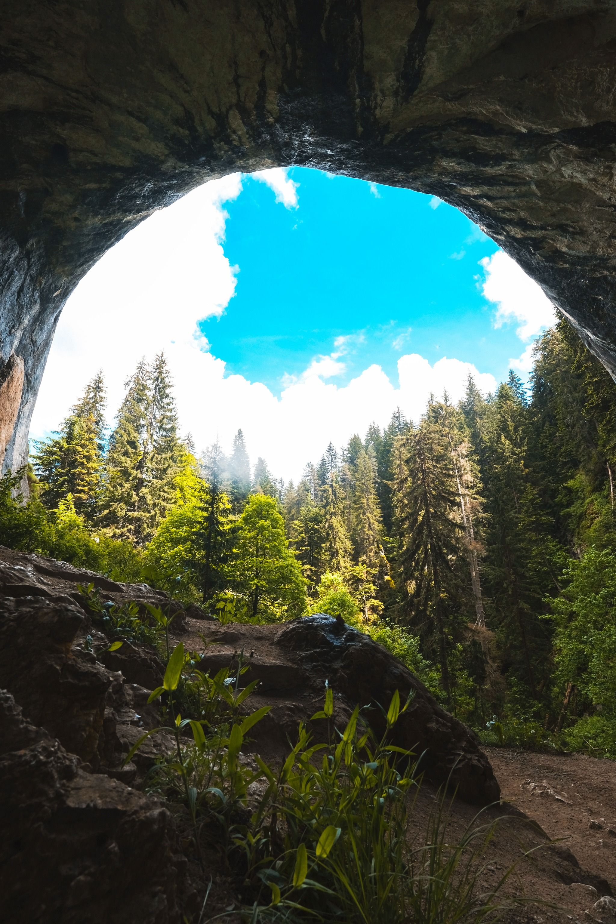 Чудните мостове