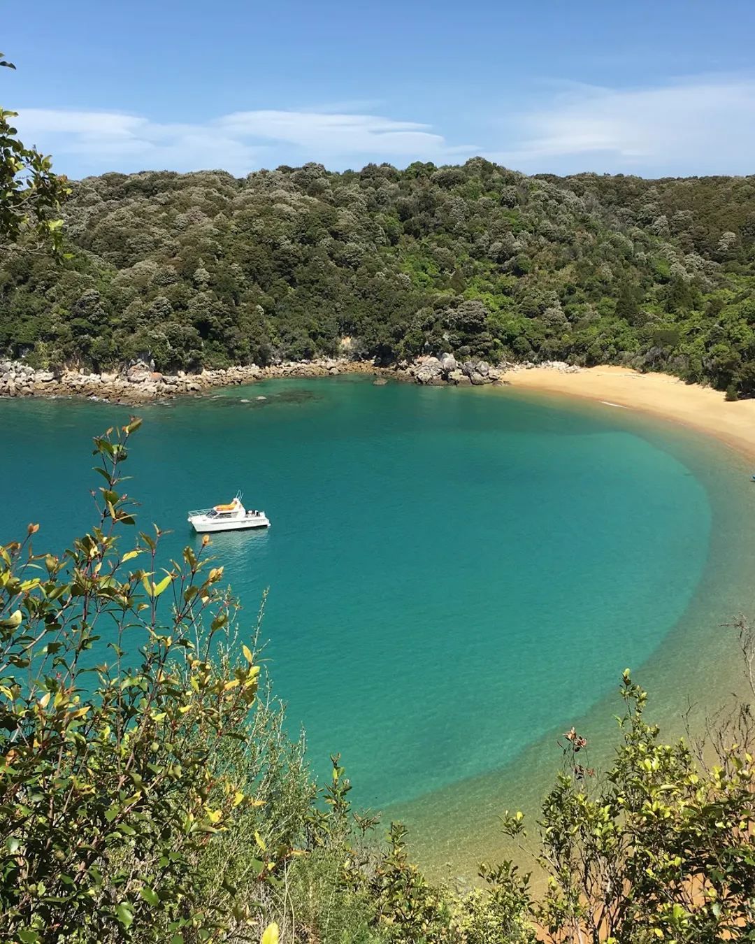 Te Pukatea Bay Walk (Pit Head Loop Trail)